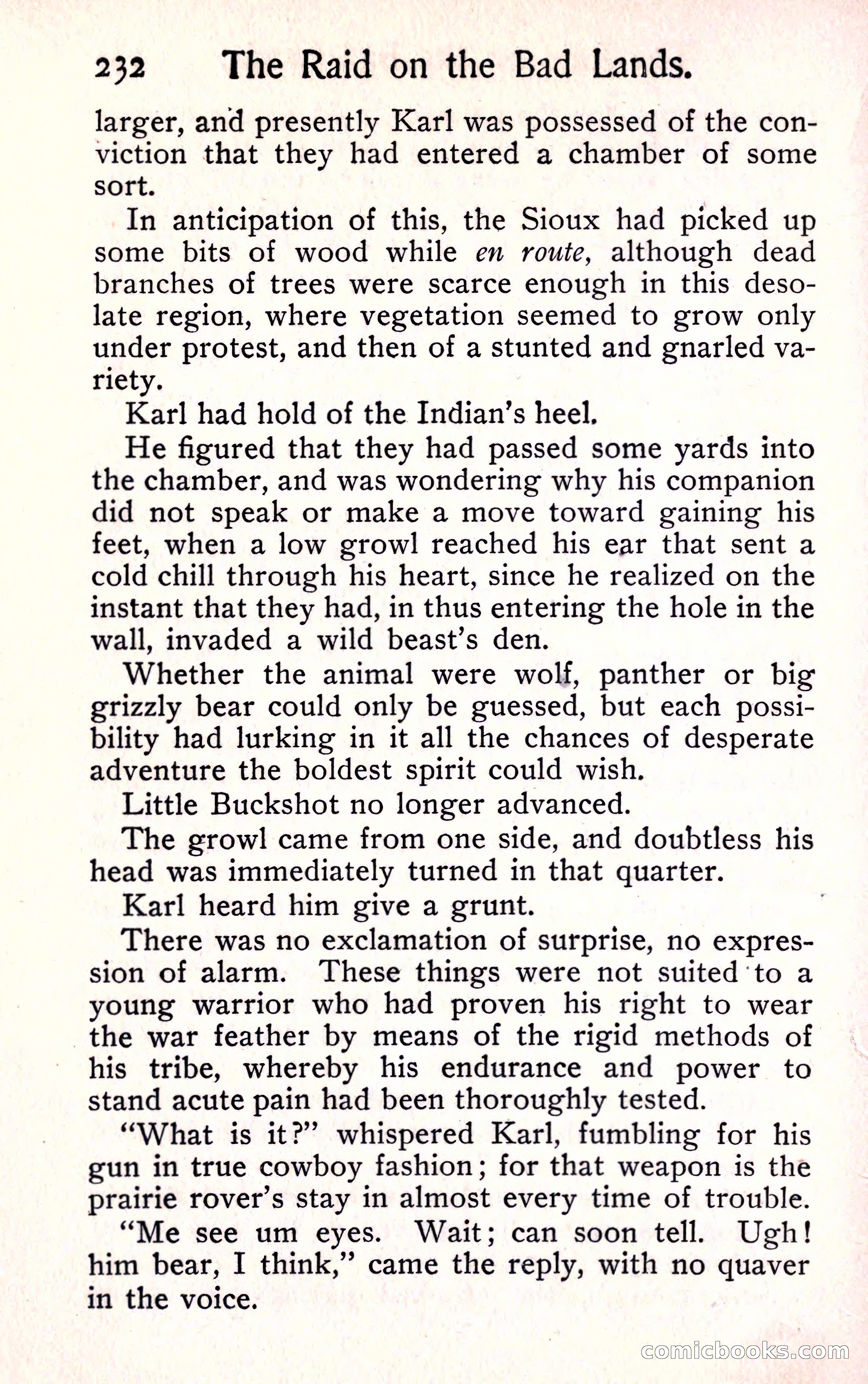 Sunset Ranch: A Story of a Boy's Adventures in the West — page 244 of 291