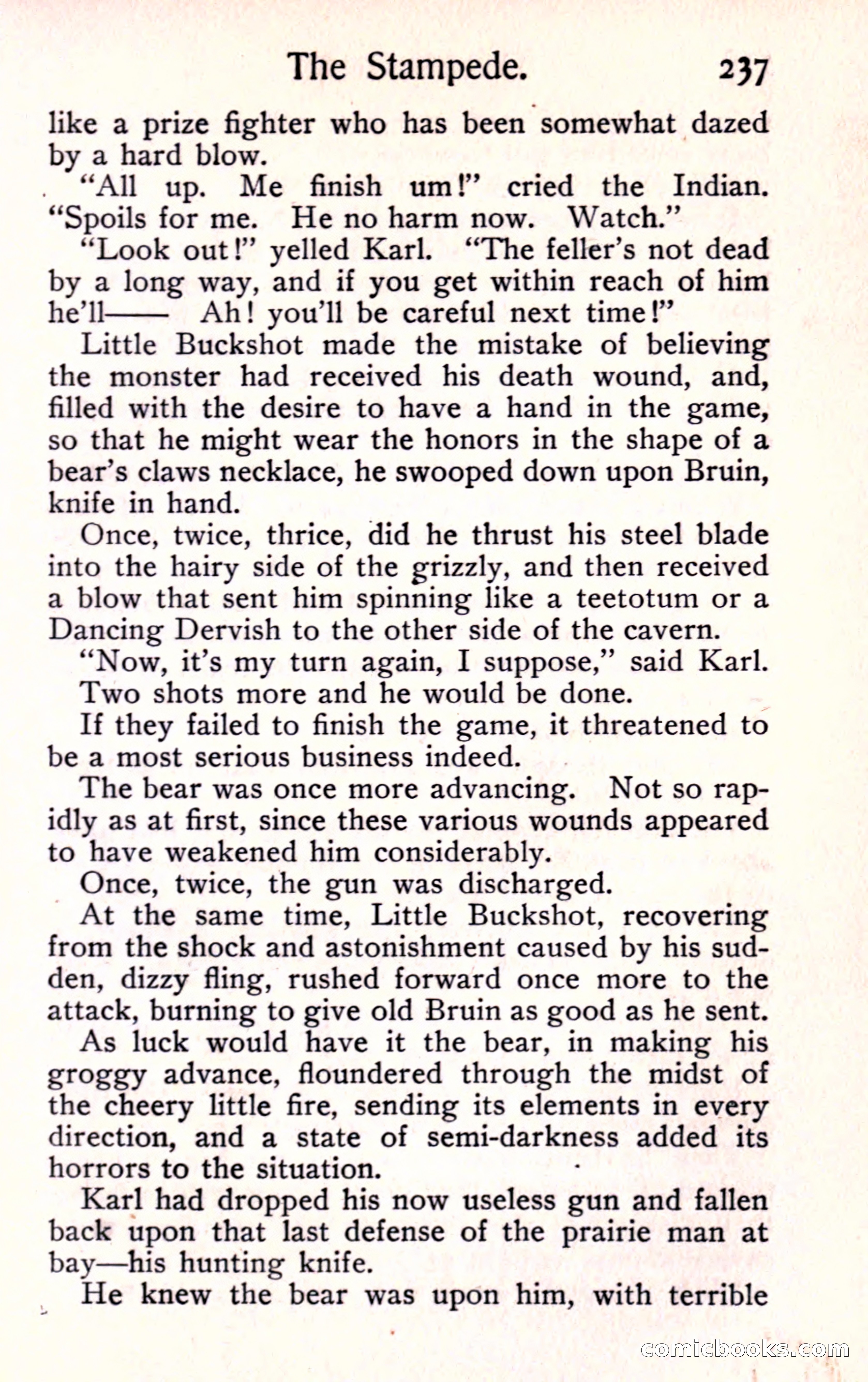 Sunset Ranch: A Story of a Boy's Adventures in the West — page 249 of 291