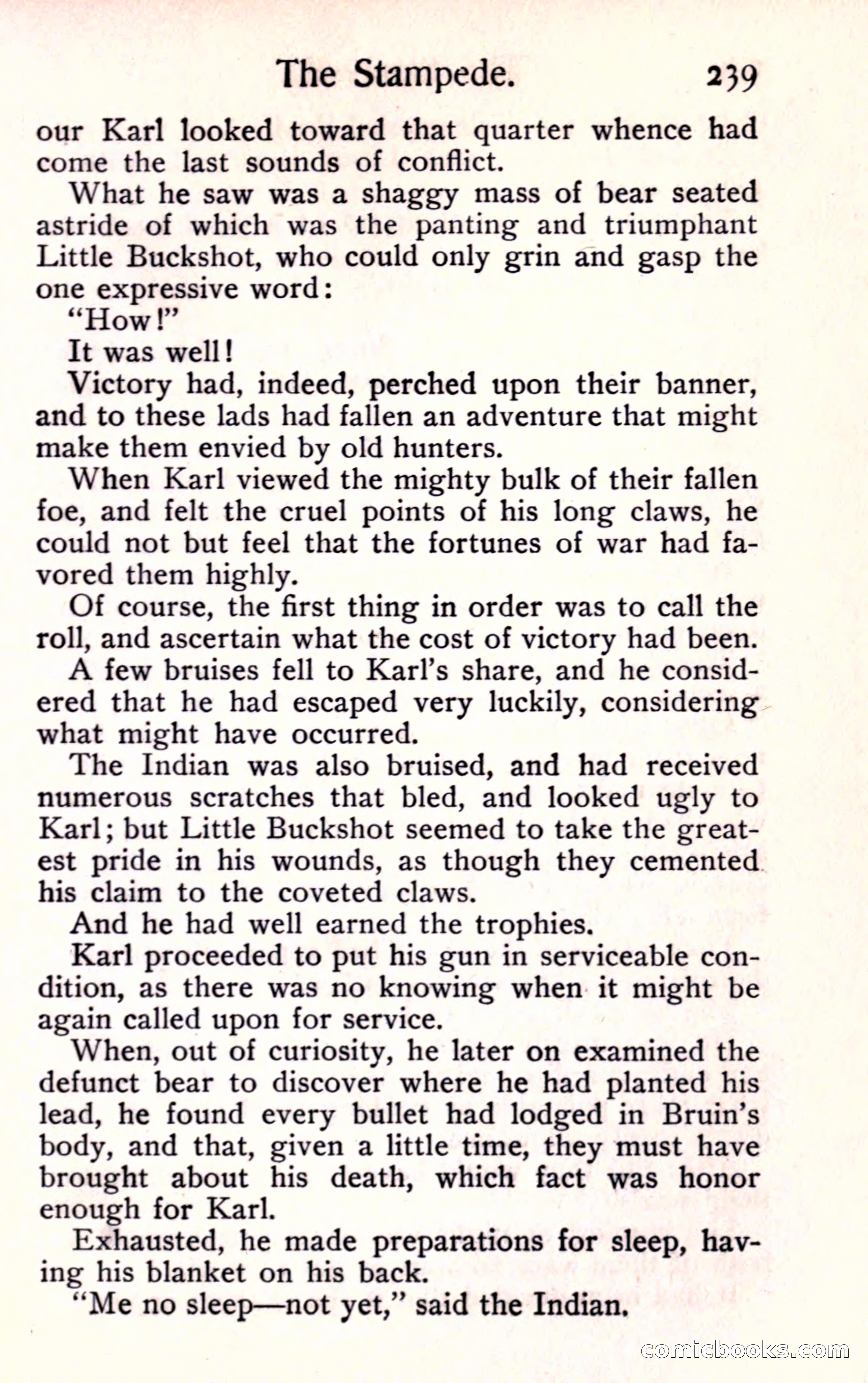 Sunset Ranch: A Story of a Boy's Adventures in the West — page 251 of 291
