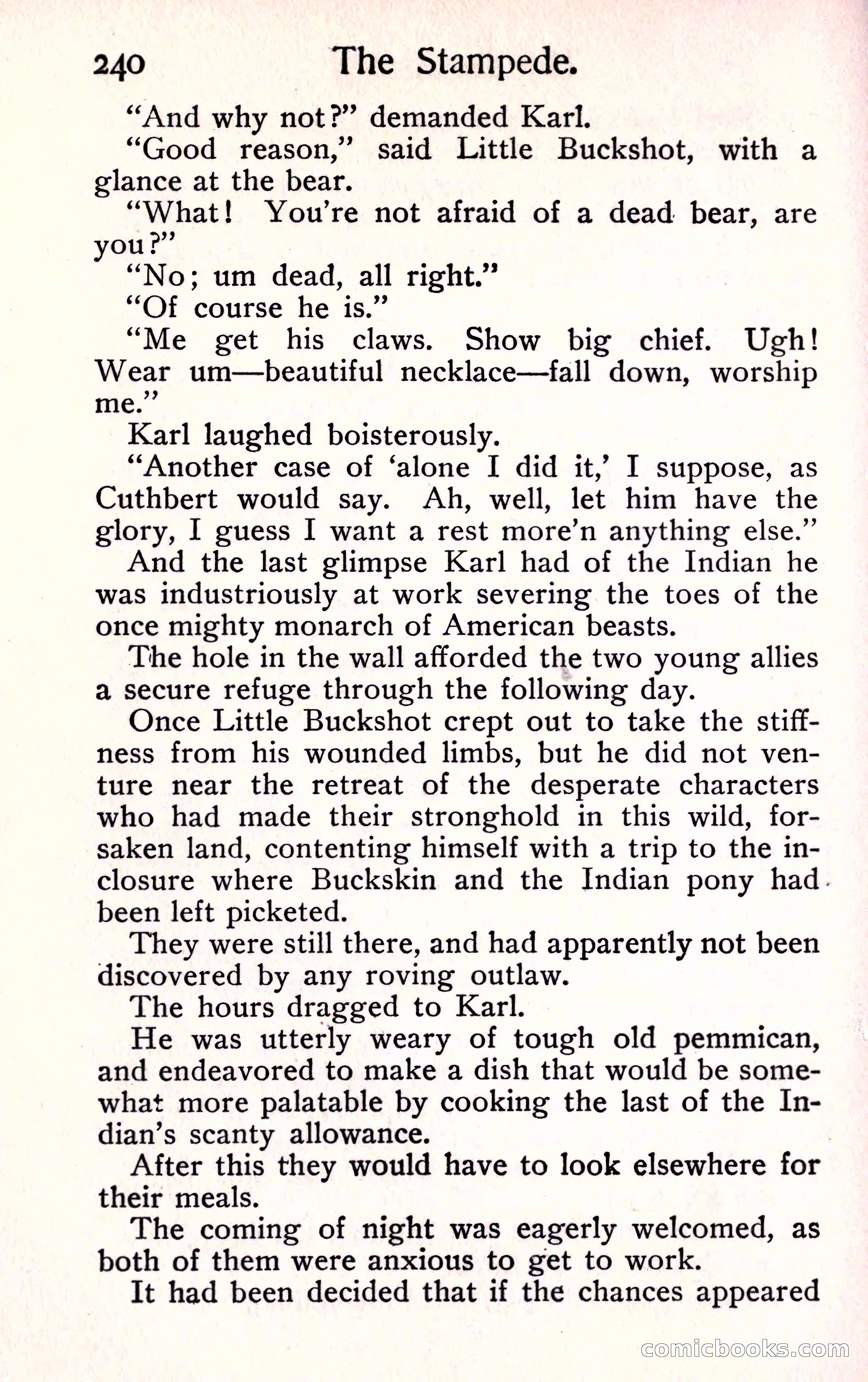 Sunset Ranch: A Story of a Boy's Adventures in the West — page 252 of 291