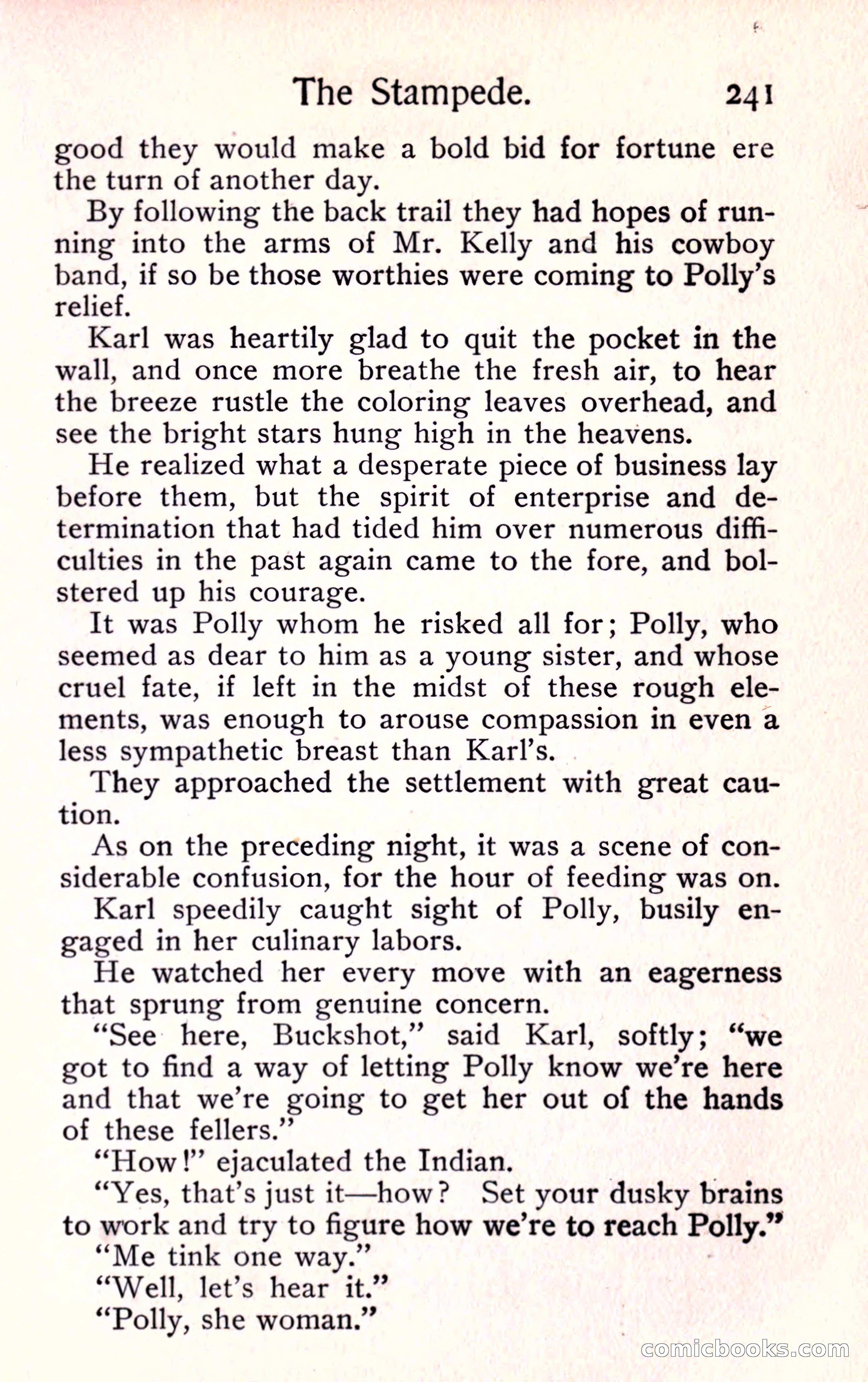 Sunset Ranch: A Story of a Boy's Adventures in the West — page 253 of 291