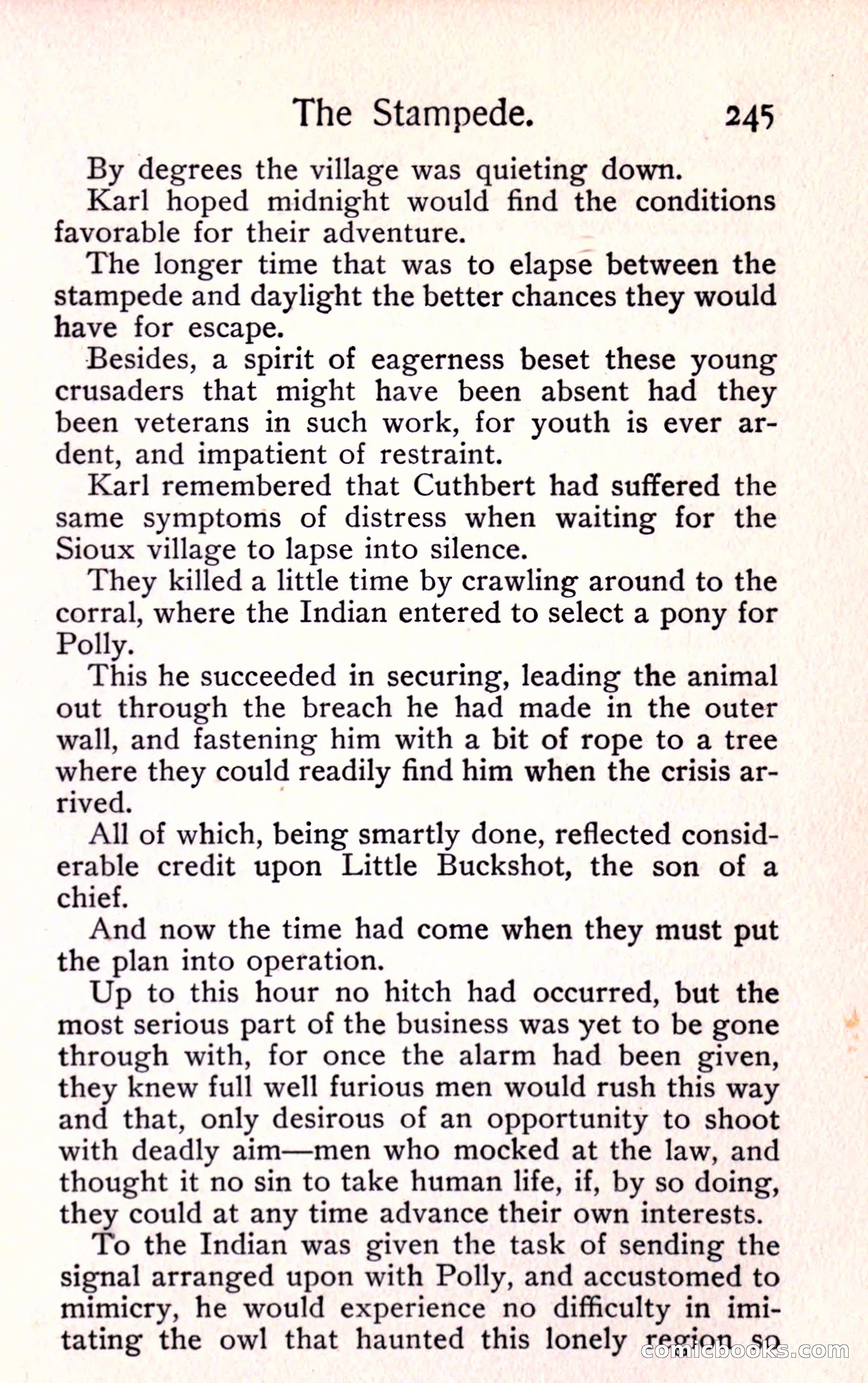 Sunset Ranch: A Story of a Boy's Adventures in the West — page 257 of 291