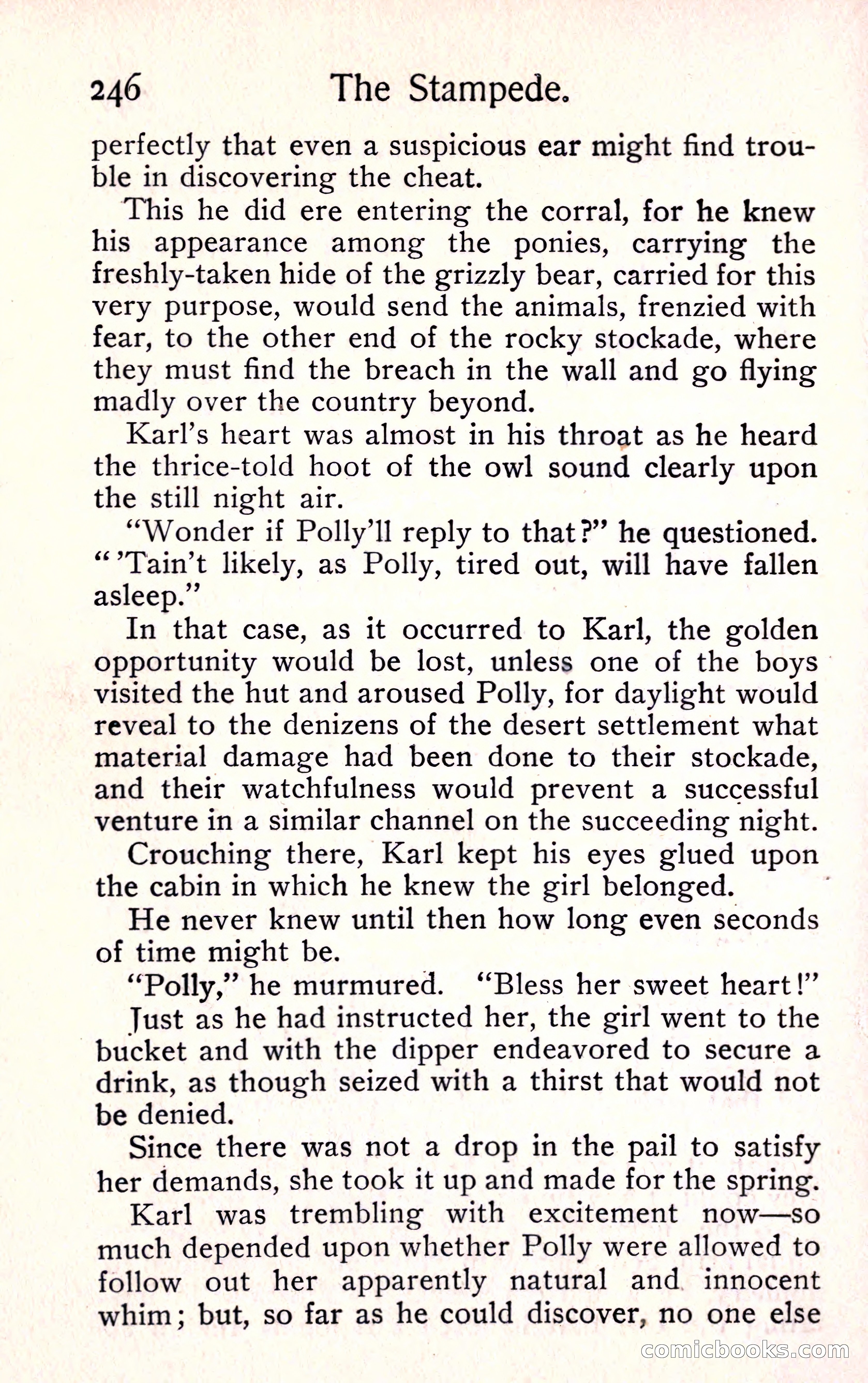 Sunset Ranch: A Story of a Boy's Adventures in the West — page 258 of 291