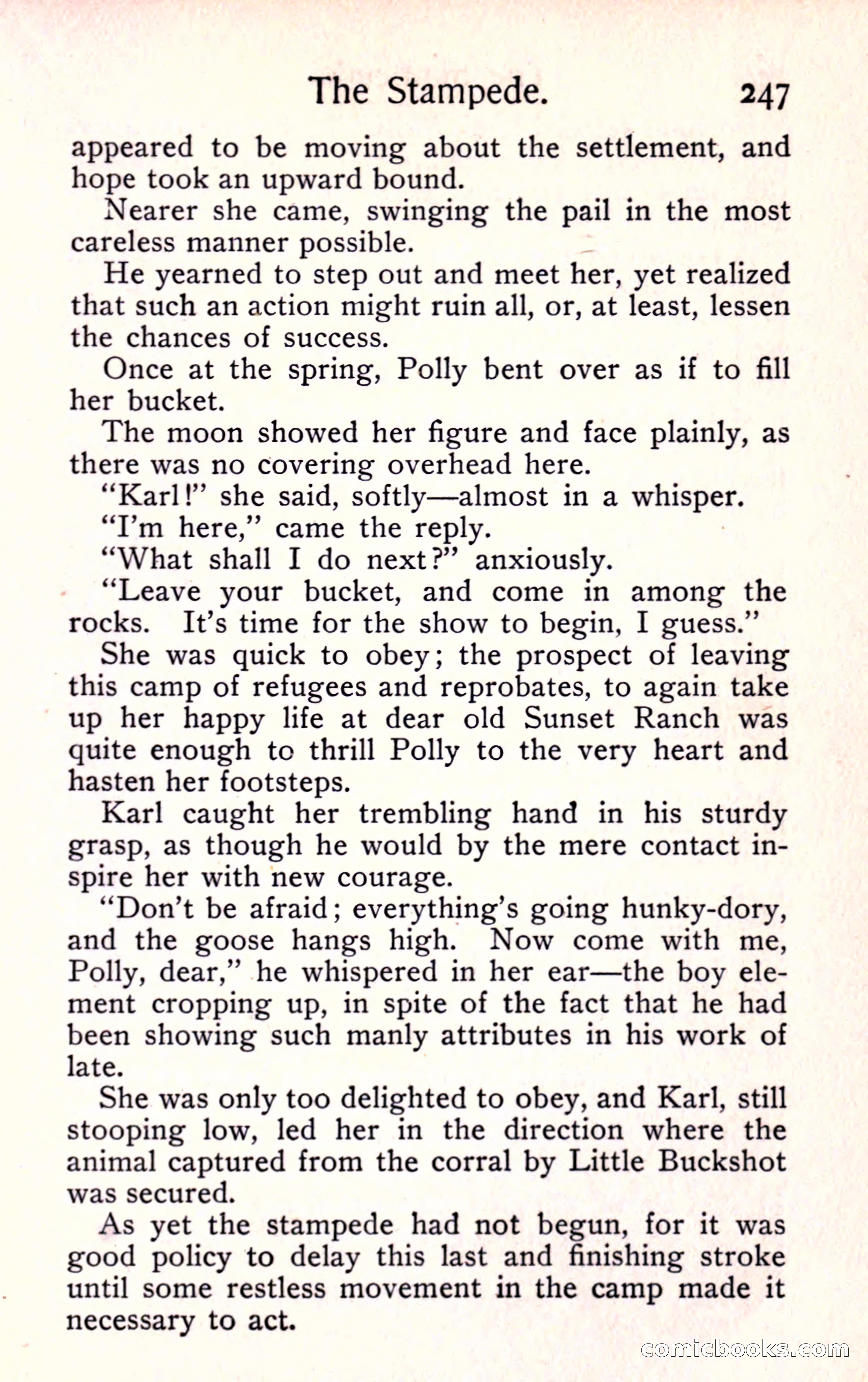 Sunset Ranch: A Story of a Boy's Adventures in the West — page 259 of 291
