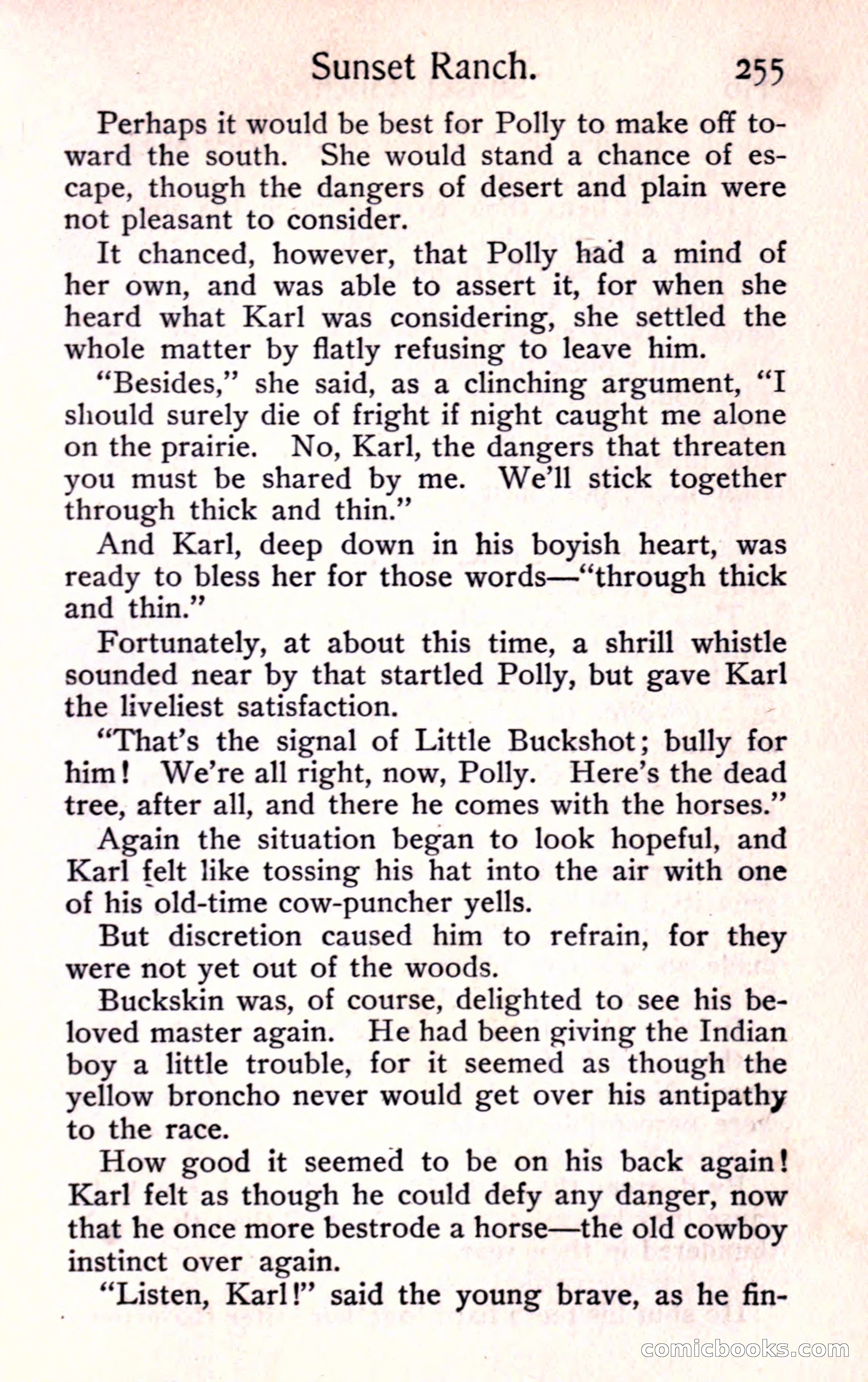 Sunset Ranch: A Story of a Boy's Adventures in the West — page 267 of 291