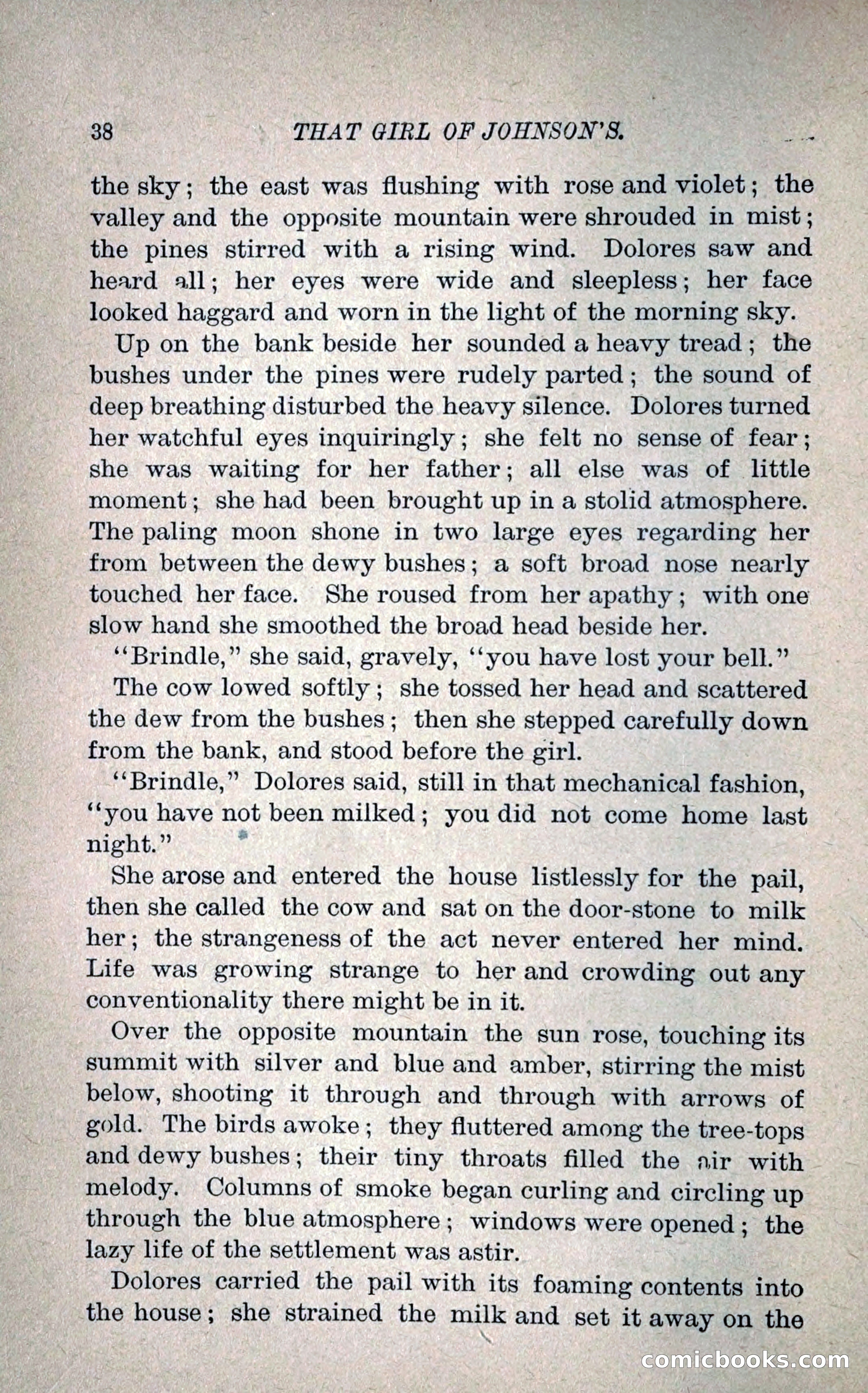 That Girl of Johnson's — page 49 of 233