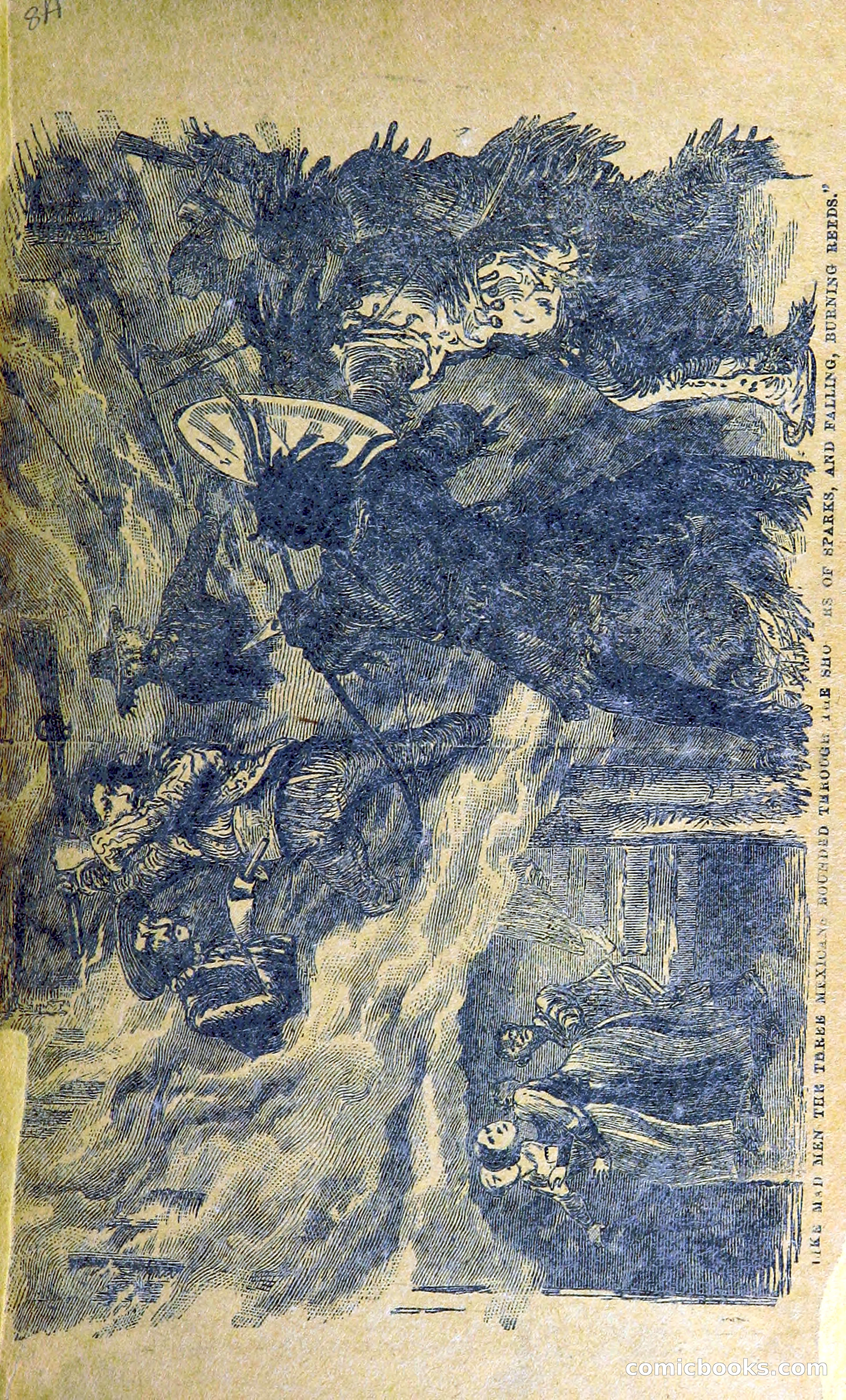 Buffalo Bill: His Life and Adventures in the Wild West — page 11 of 48