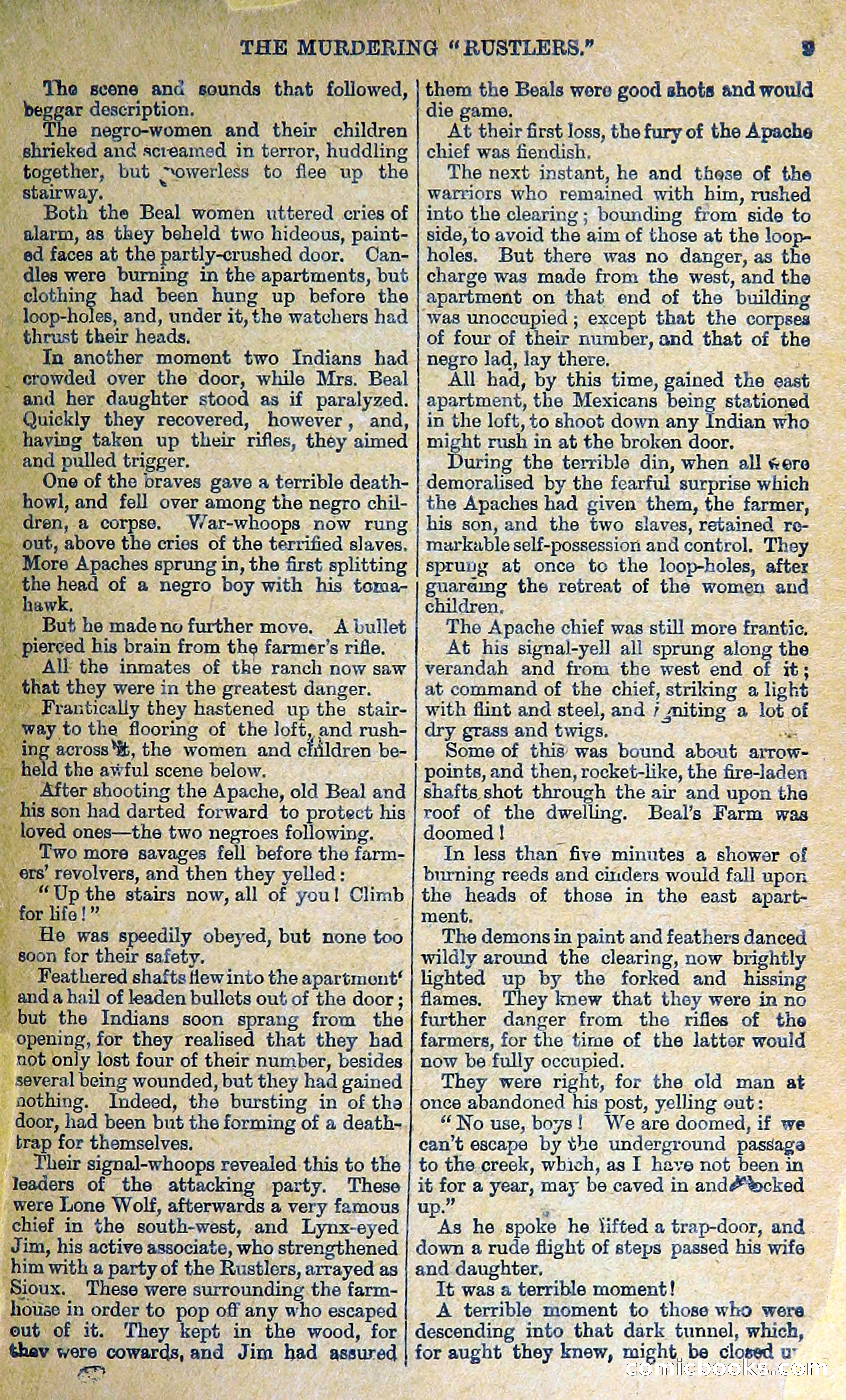 Buffalo Bill: His Life and Adventures in the Wild West — page 13 of 48