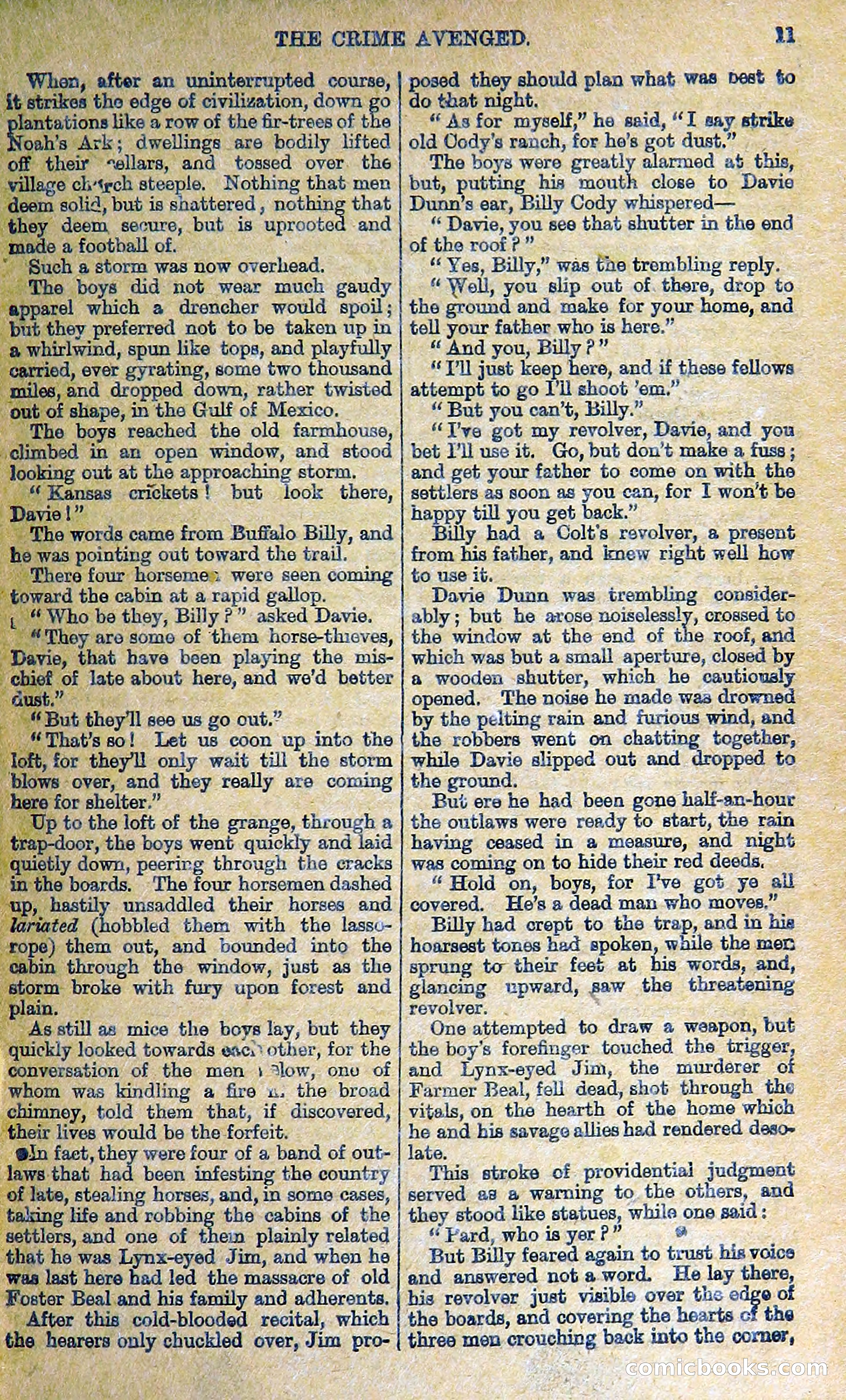 Buffalo Bill: His Life and Adventures in the Wild West — page 15 of 48