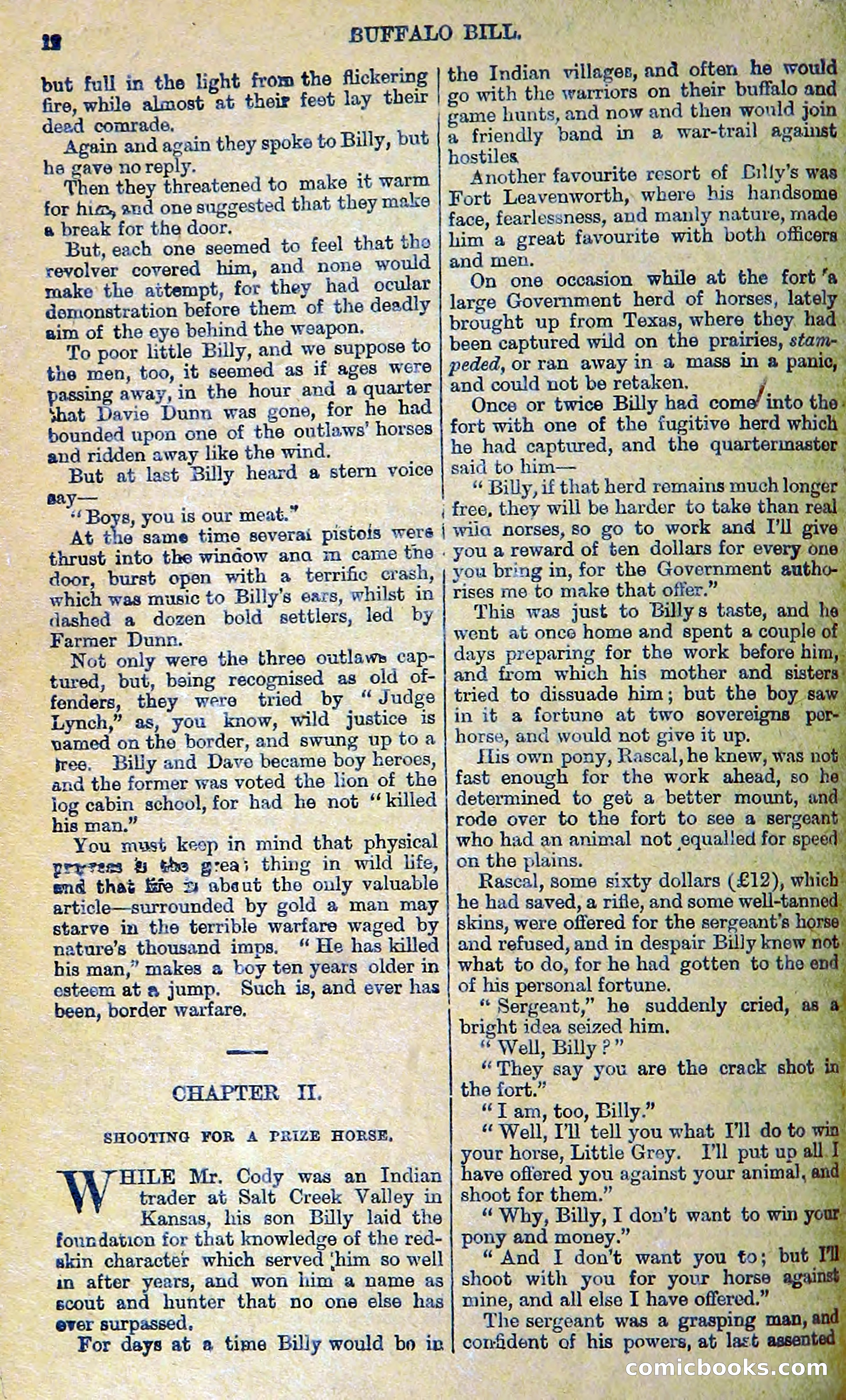Buffalo Bill: His Life and Adventures in the Wild West — page 16 of 48