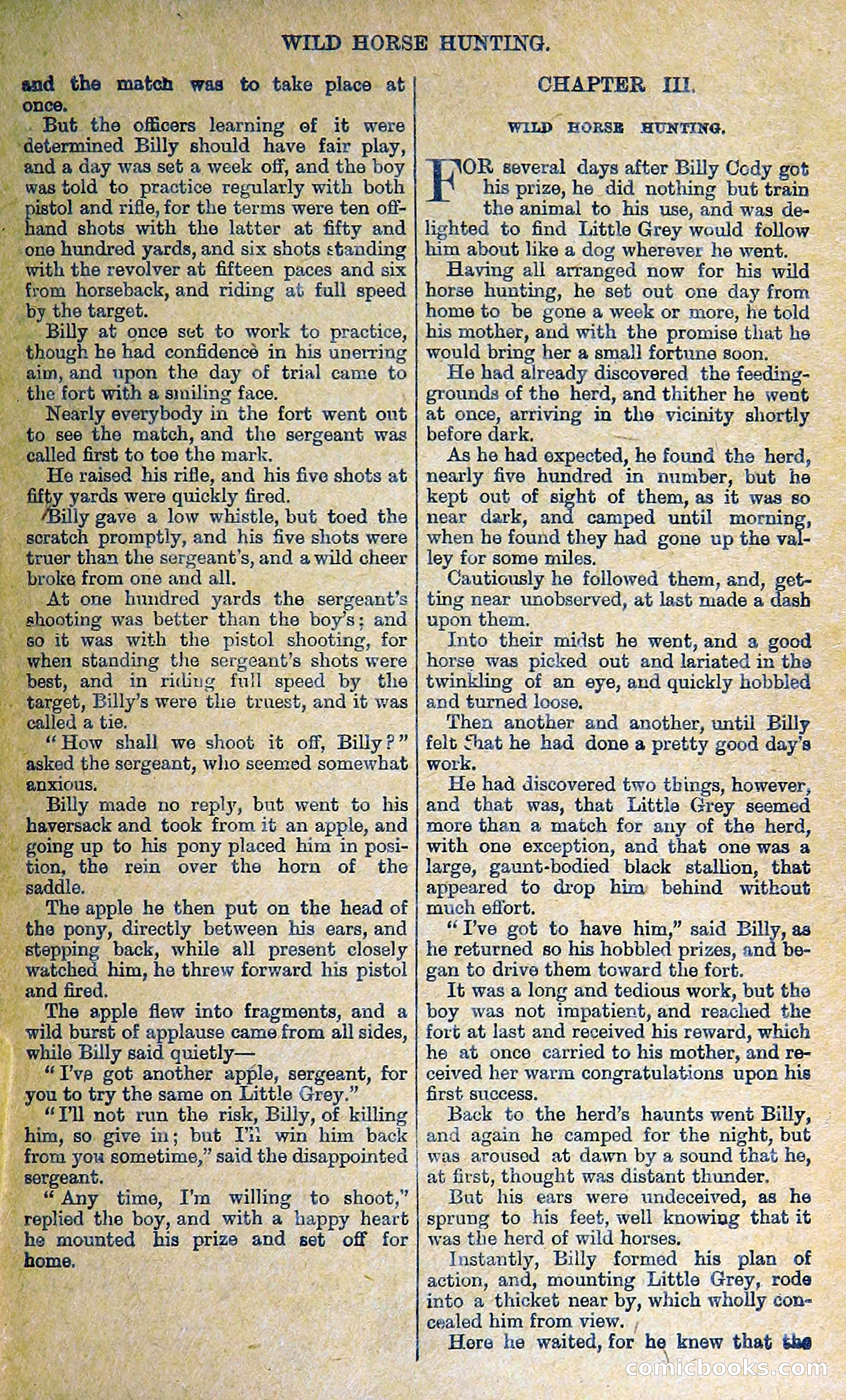 Buffalo Bill: His Life and Adventures in the Wild West — page 17 of 48