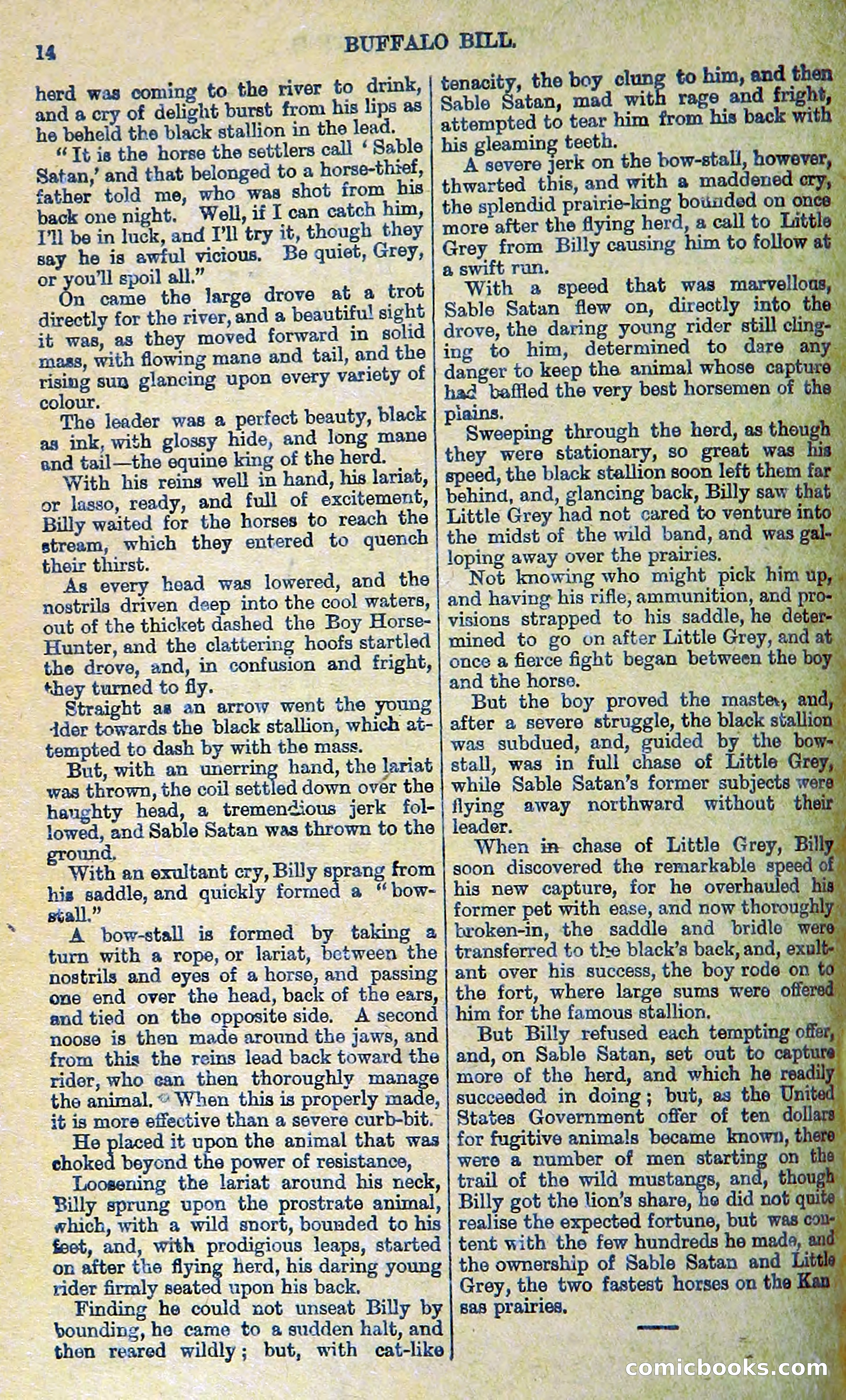 Buffalo Bill: His Life and Adventures in the Wild West — page 18 of 48