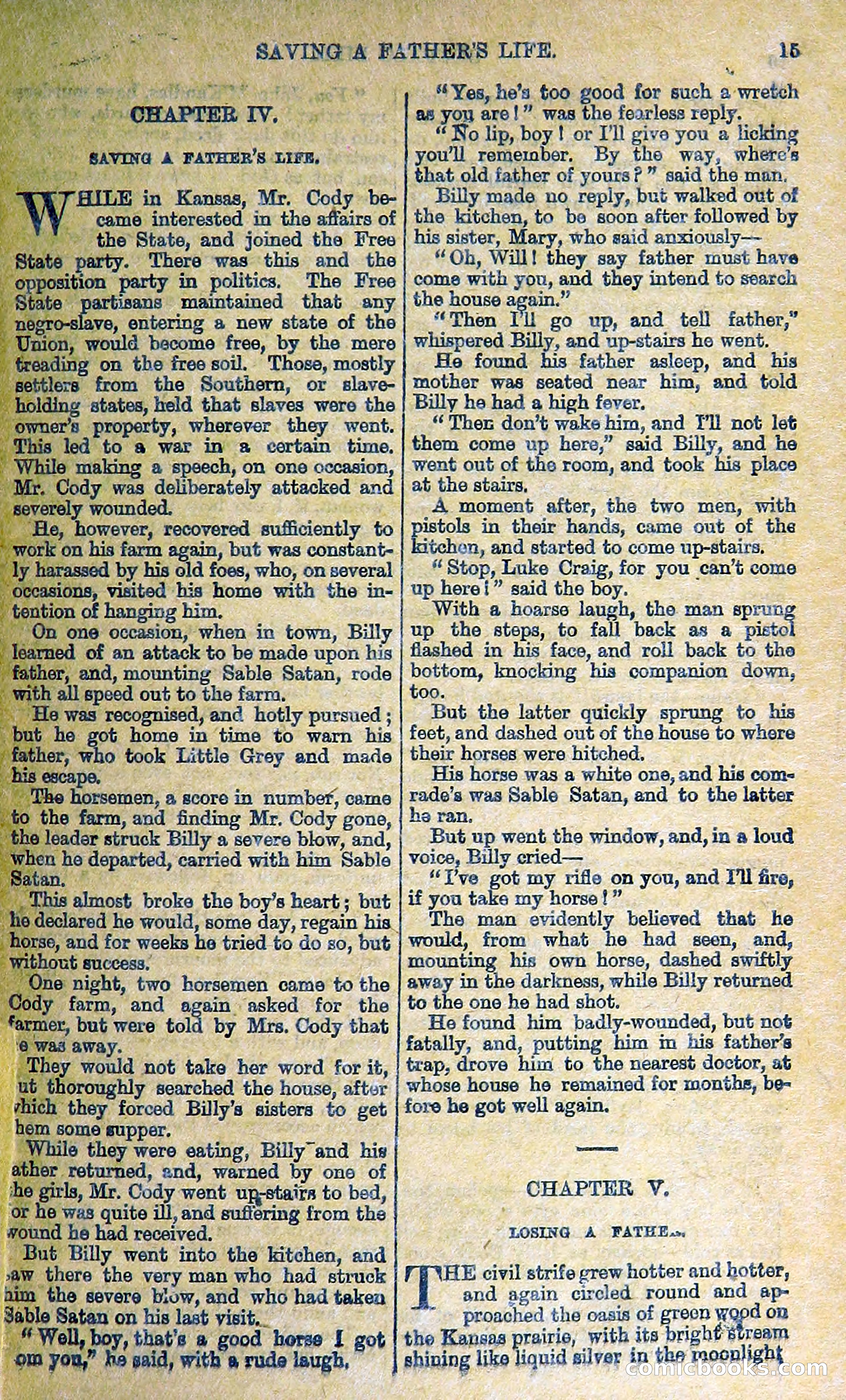 Buffalo Bill: His Life and Adventures in the Wild West — page 19 of 48
