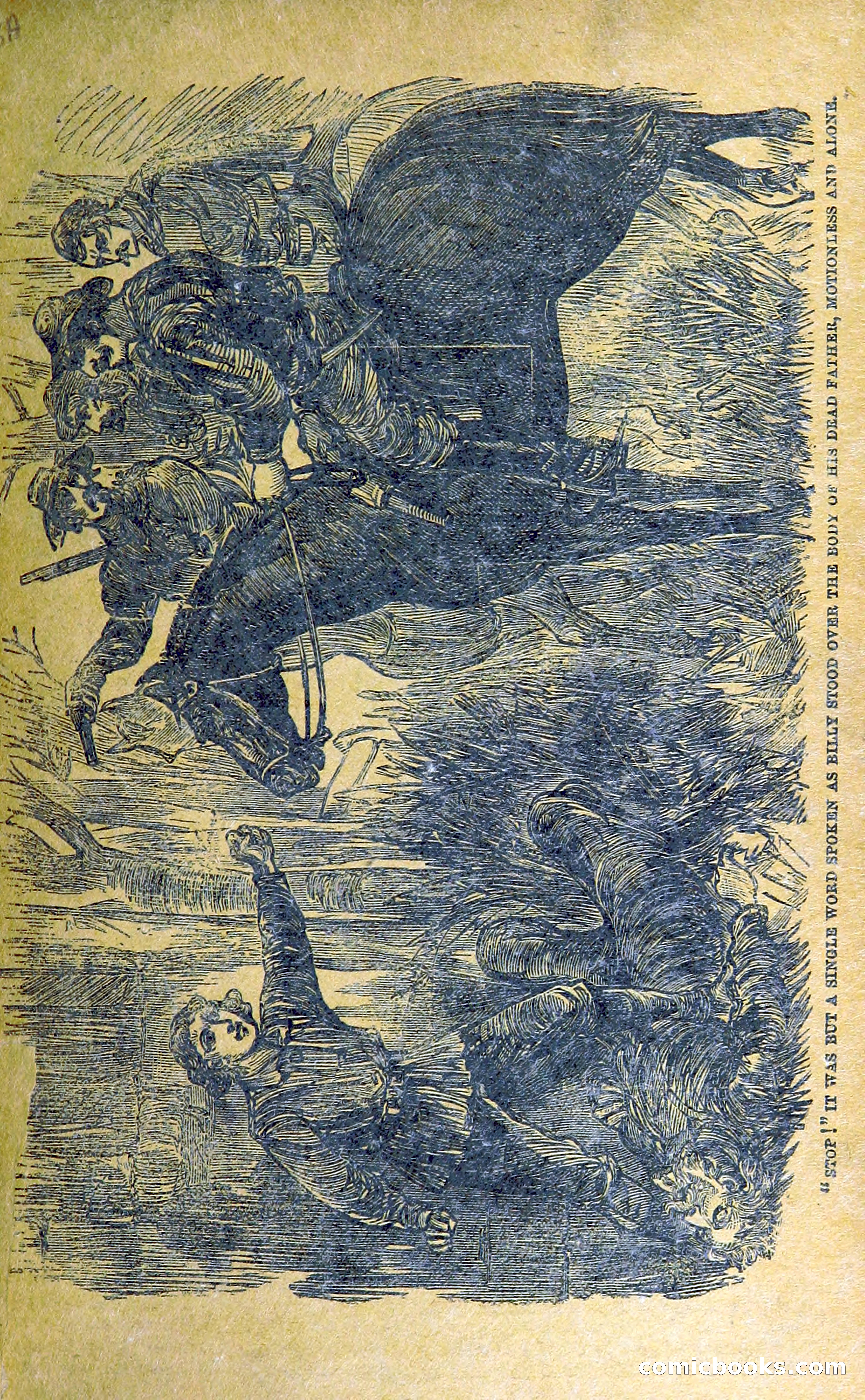 Buffalo Bill: His Life and Adventures in the Wild West — page 23 of 48
