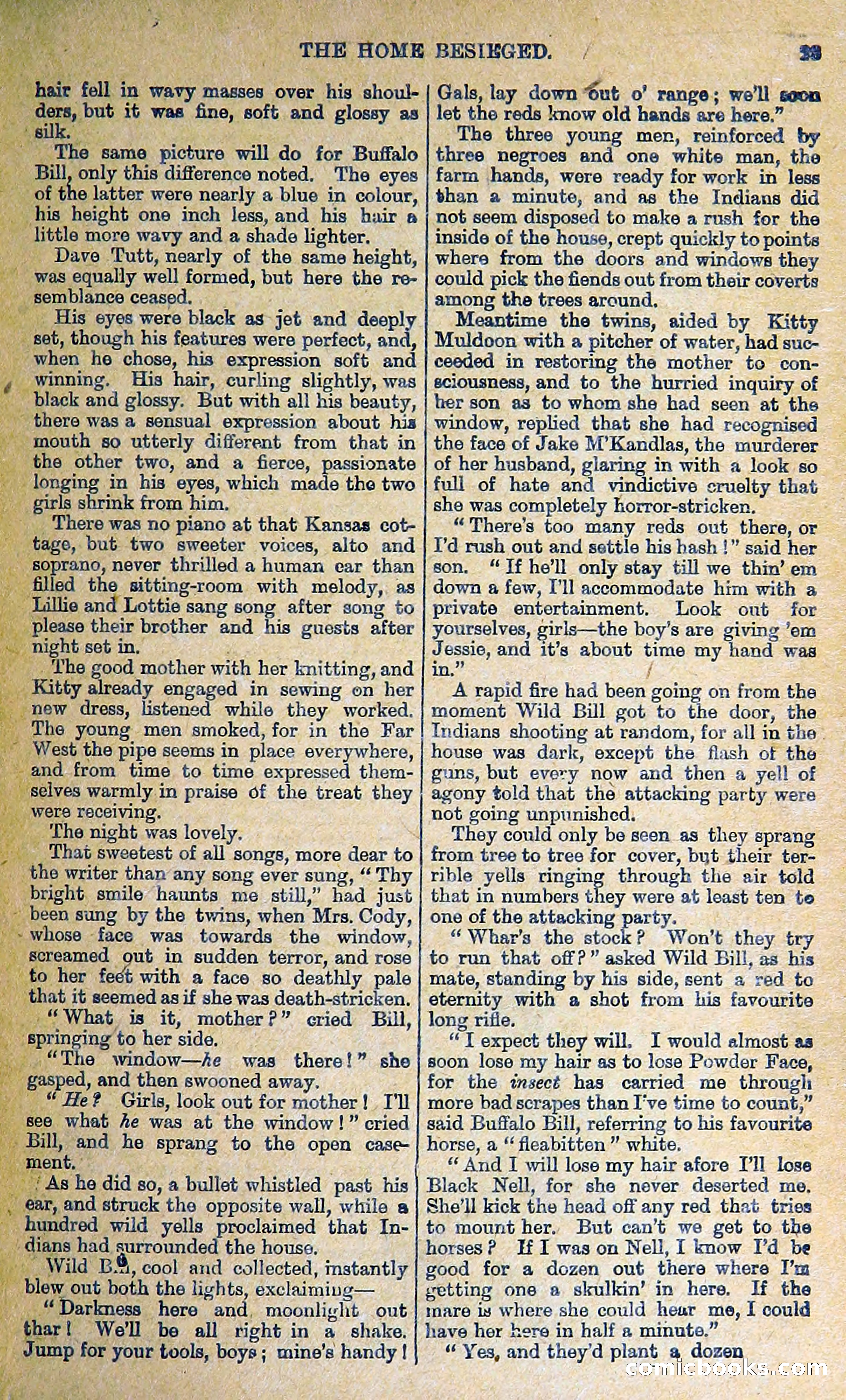 Buffalo Bill: His Life and Adventures in the Wild West — page 29 of 48