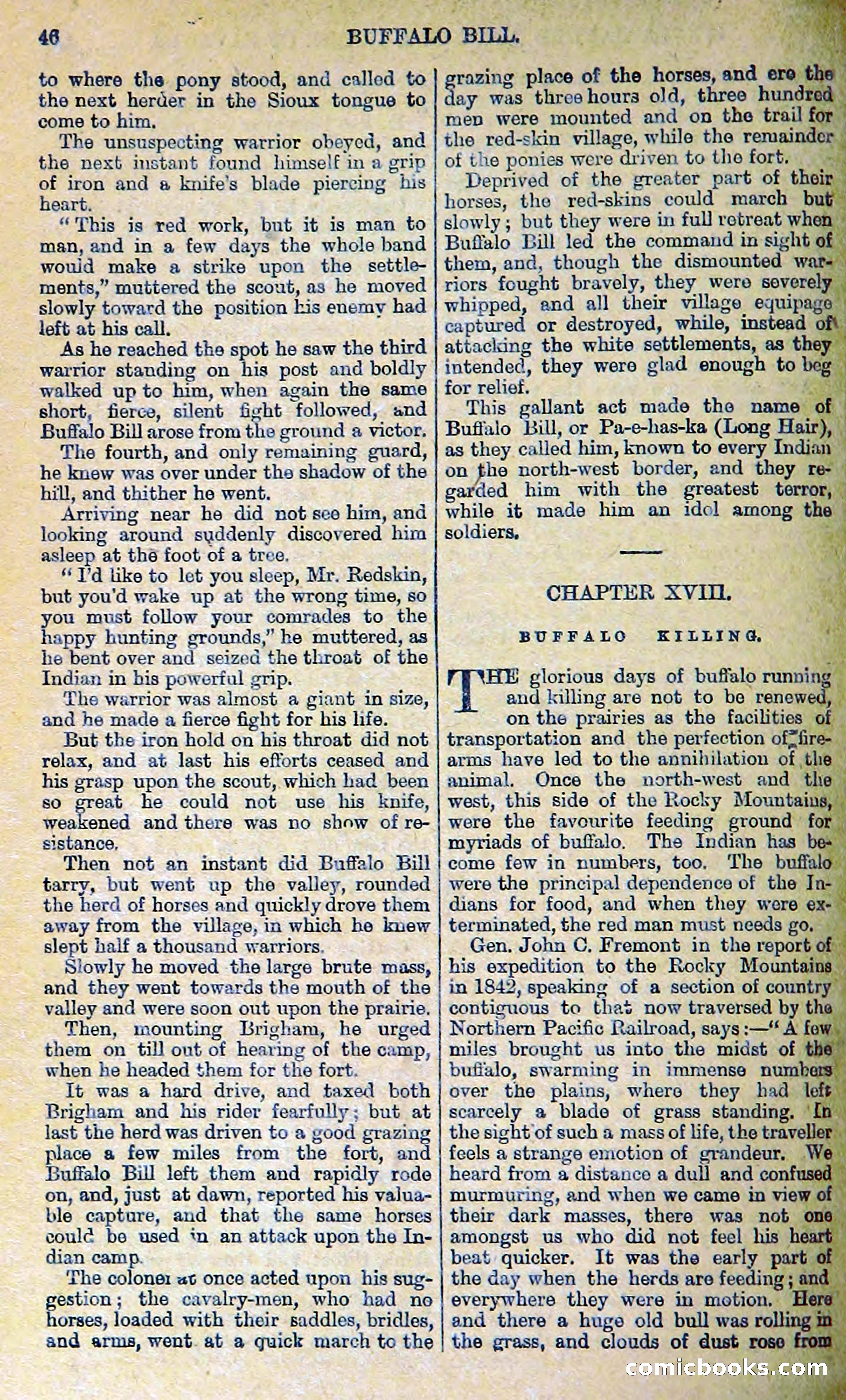 Buffalo Bill: His Life and Adventures in the Wild West — page 36 of 48