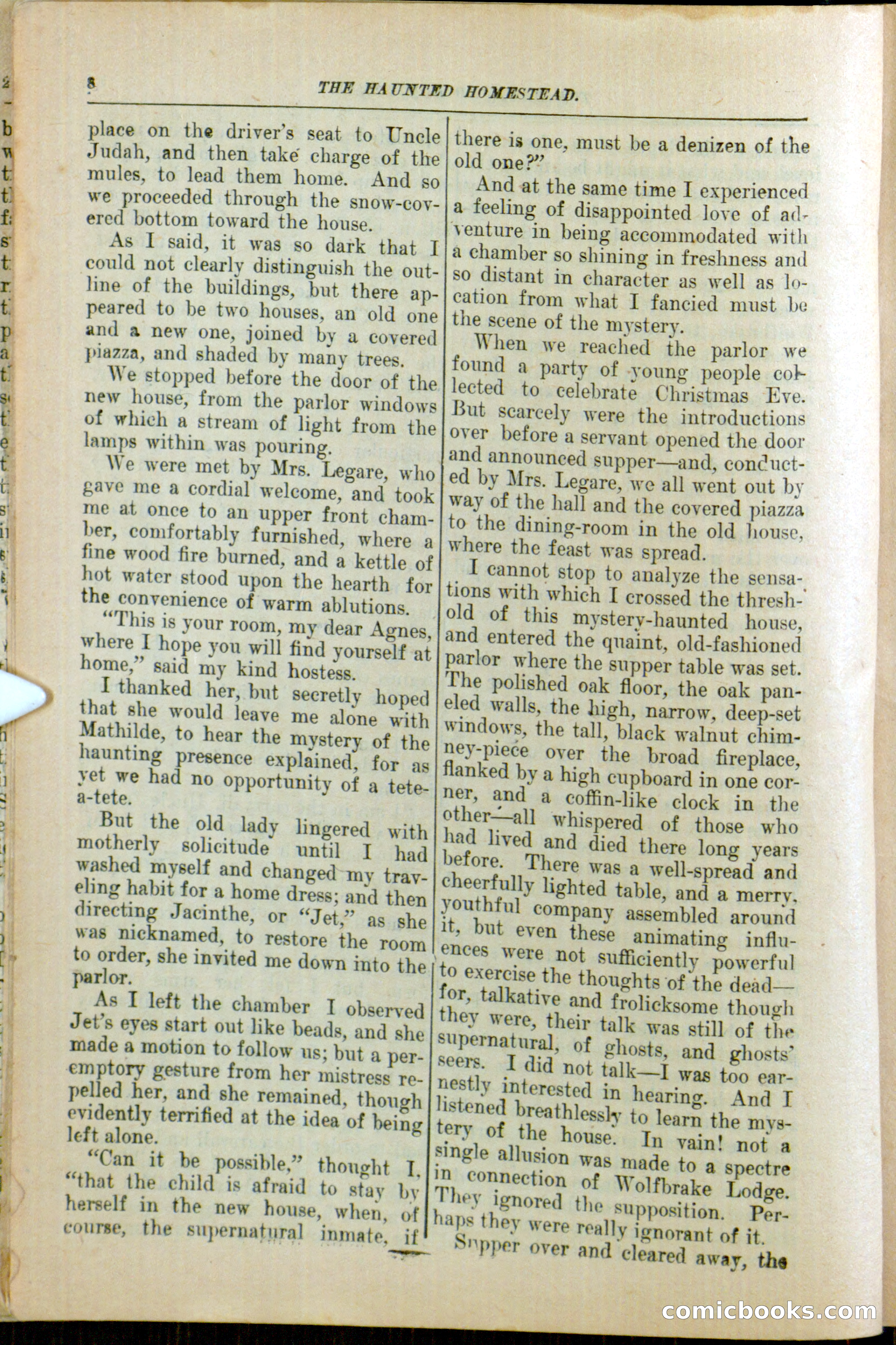 The Arm Chair Library No. 79: The Haunted Homestead — page 10 of 64