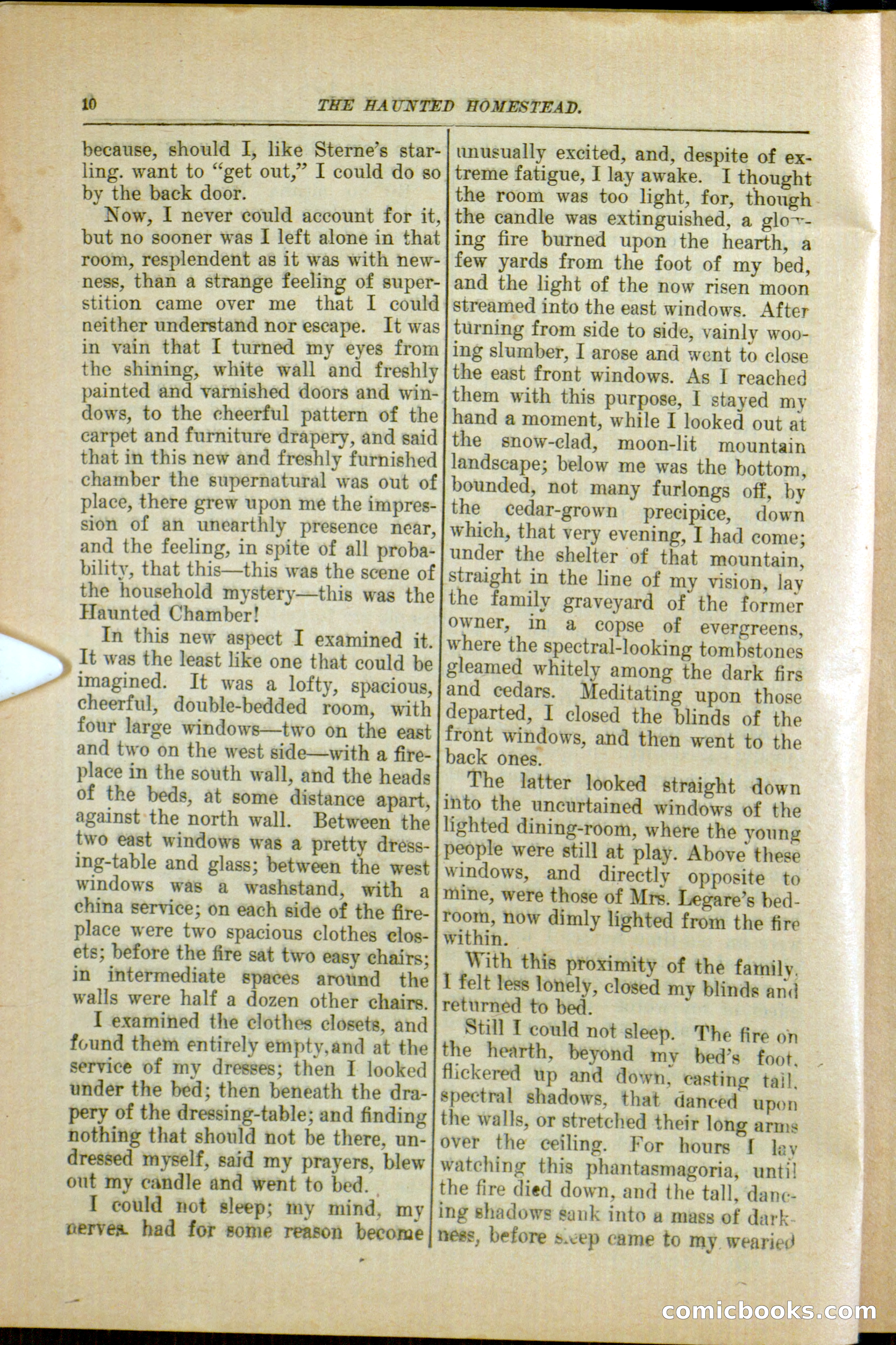 The Arm Chair Library No. 79: The Haunted Homestead — page 12 of 64