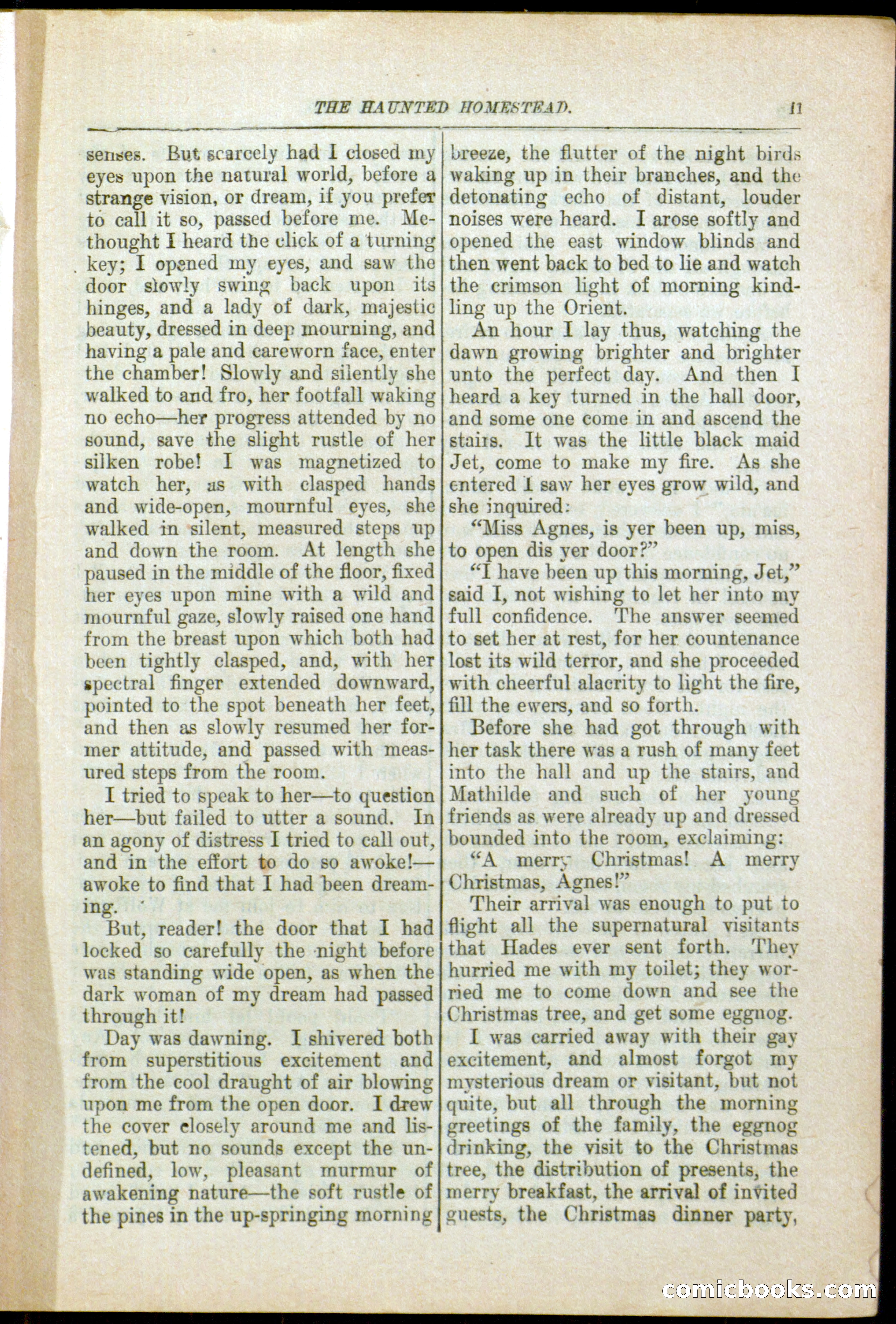 The Arm Chair Library No. 79: The Haunted Homestead — page 13 of 64