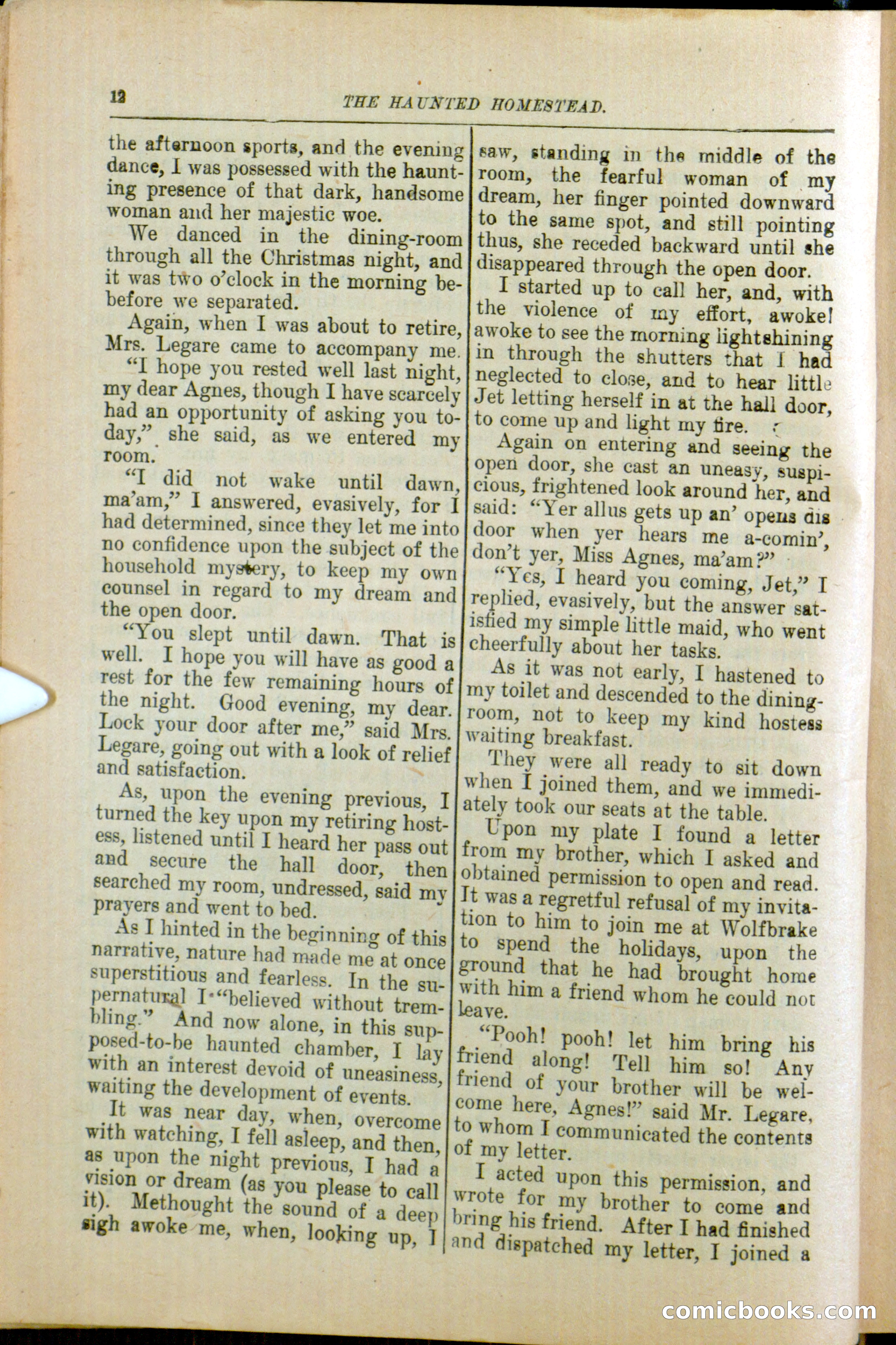 The Arm Chair Library No. 79: The Haunted Homestead — page 14 of 64