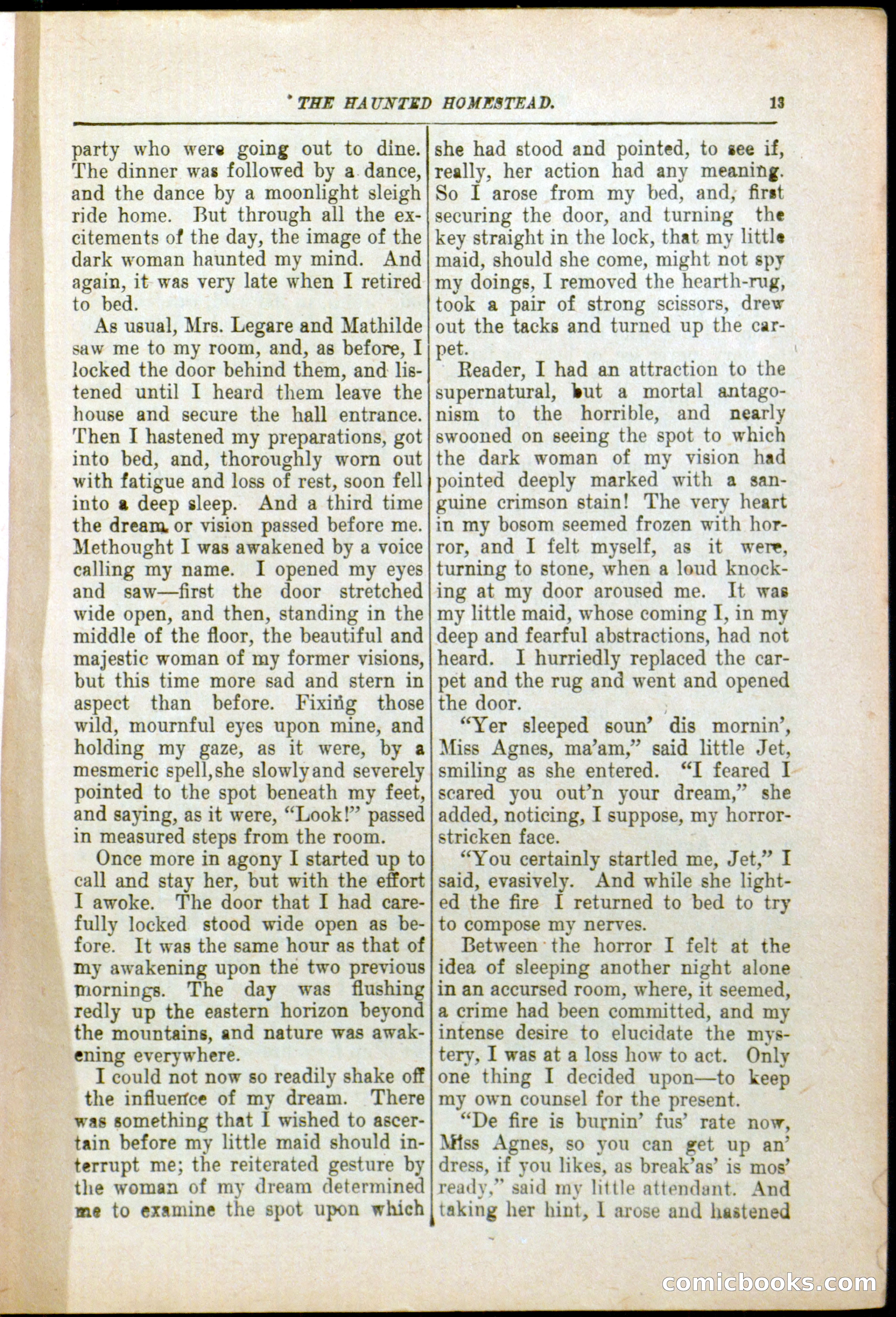 The Arm Chair Library No. 79: The Haunted Homestead — page 15 of 64