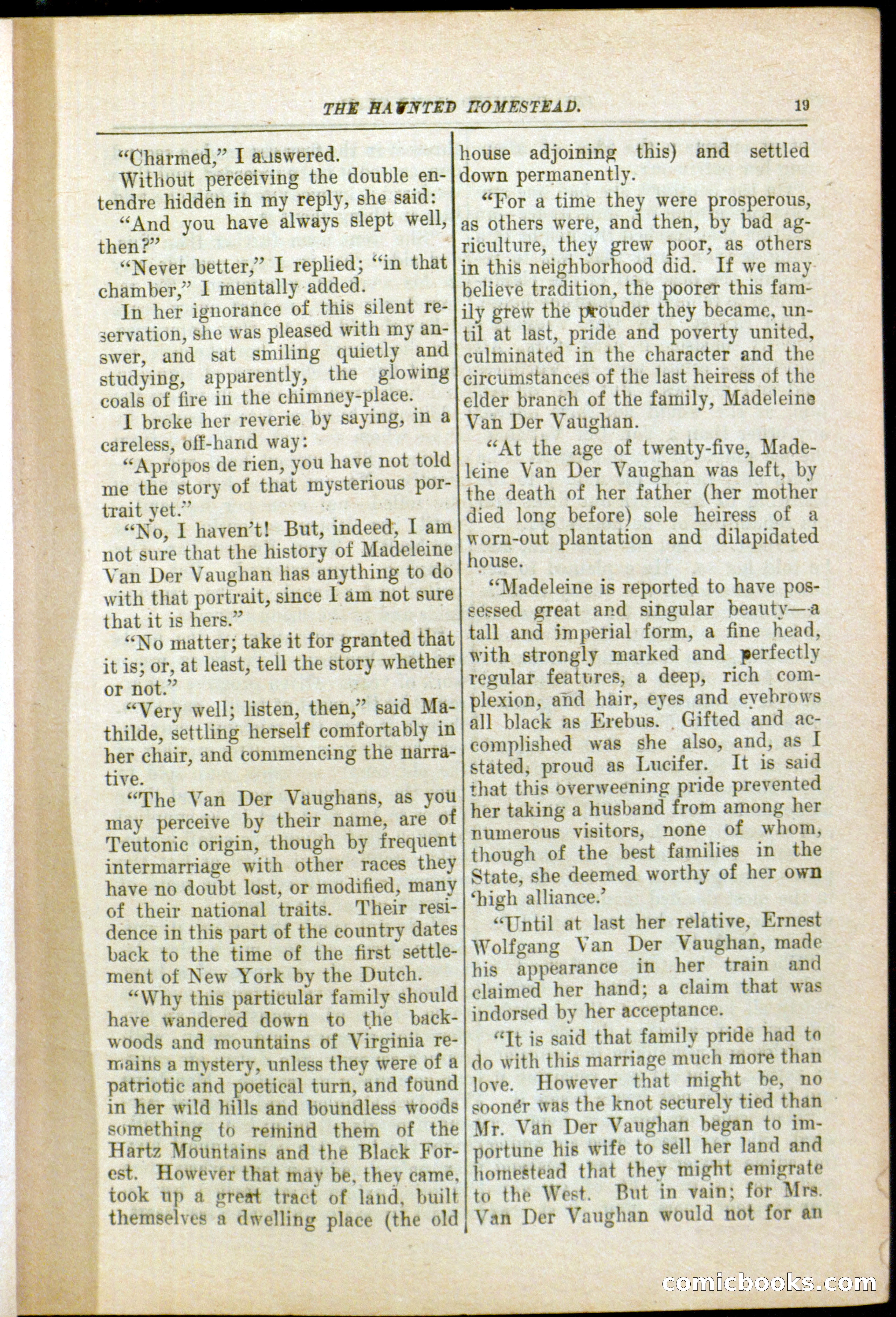 The Arm Chair Library No. 79: The Haunted Homestead — page 21 of 64