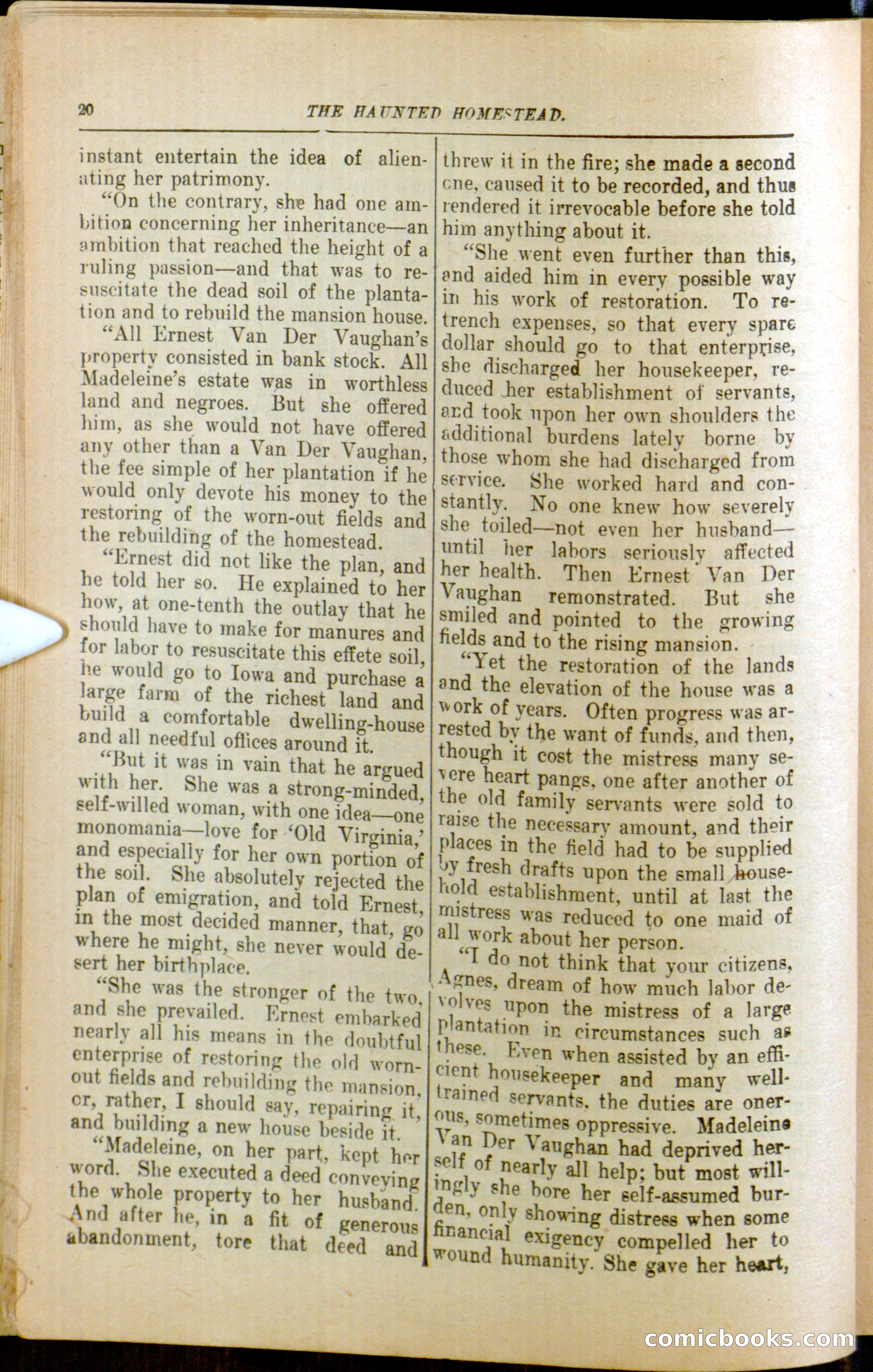 The Arm Chair Library No. 79: The Haunted Homestead — page 22 of 64