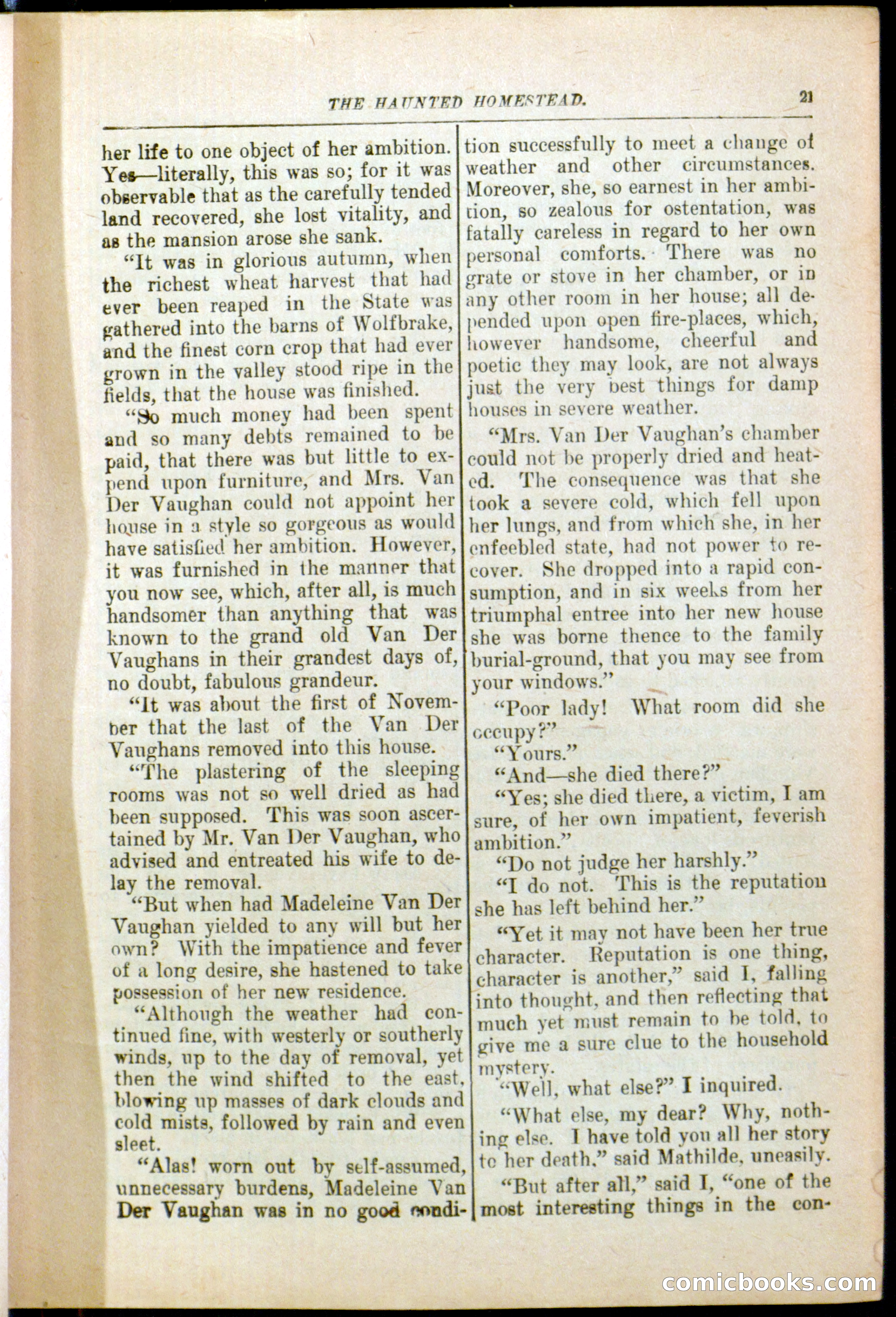 The Arm Chair Library No. 79: The Haunted Homestead — page 23 of 64