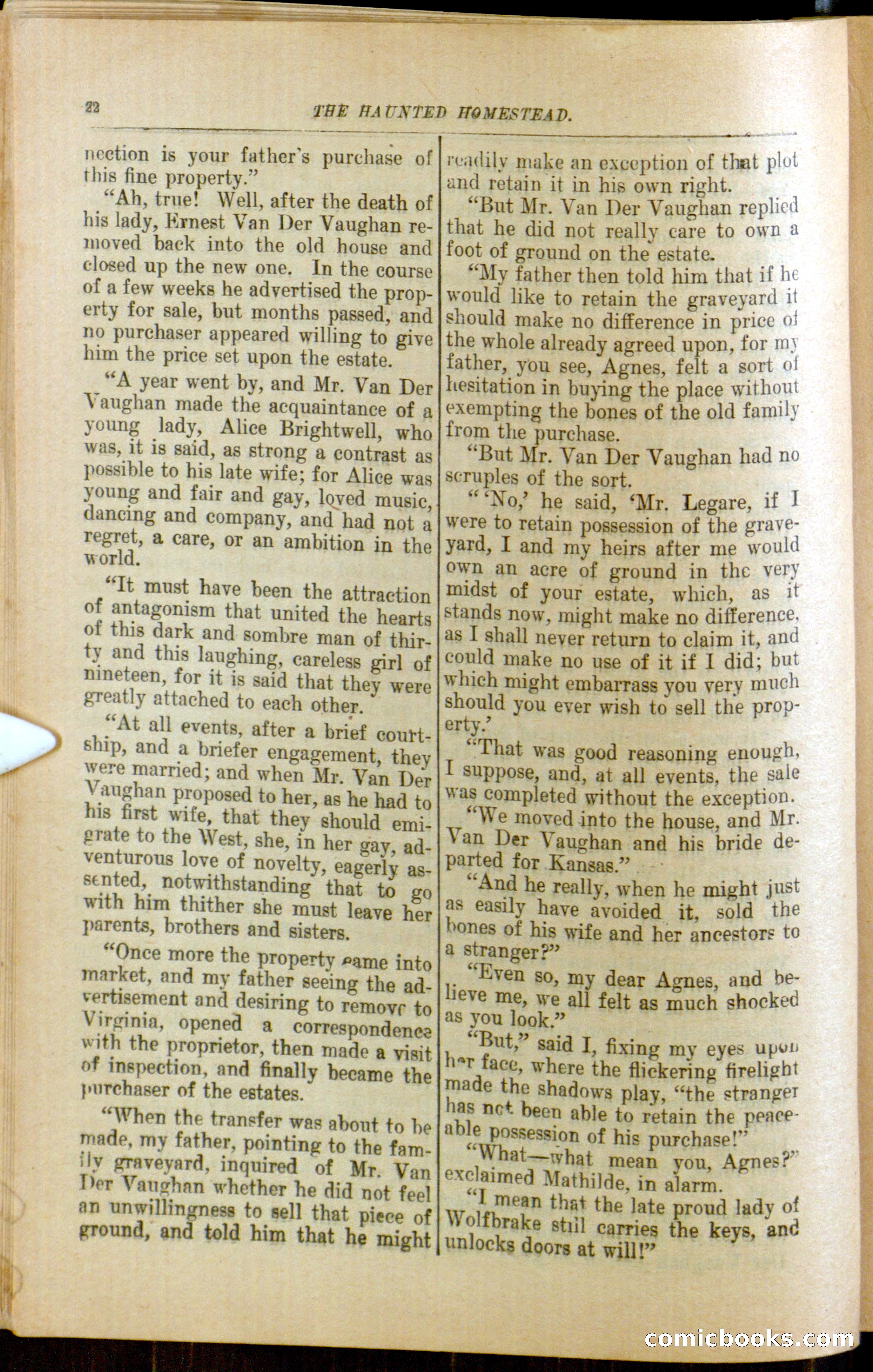 The Arm Chair Library No. 79: The Haunted Homestead — page 24 of 64
