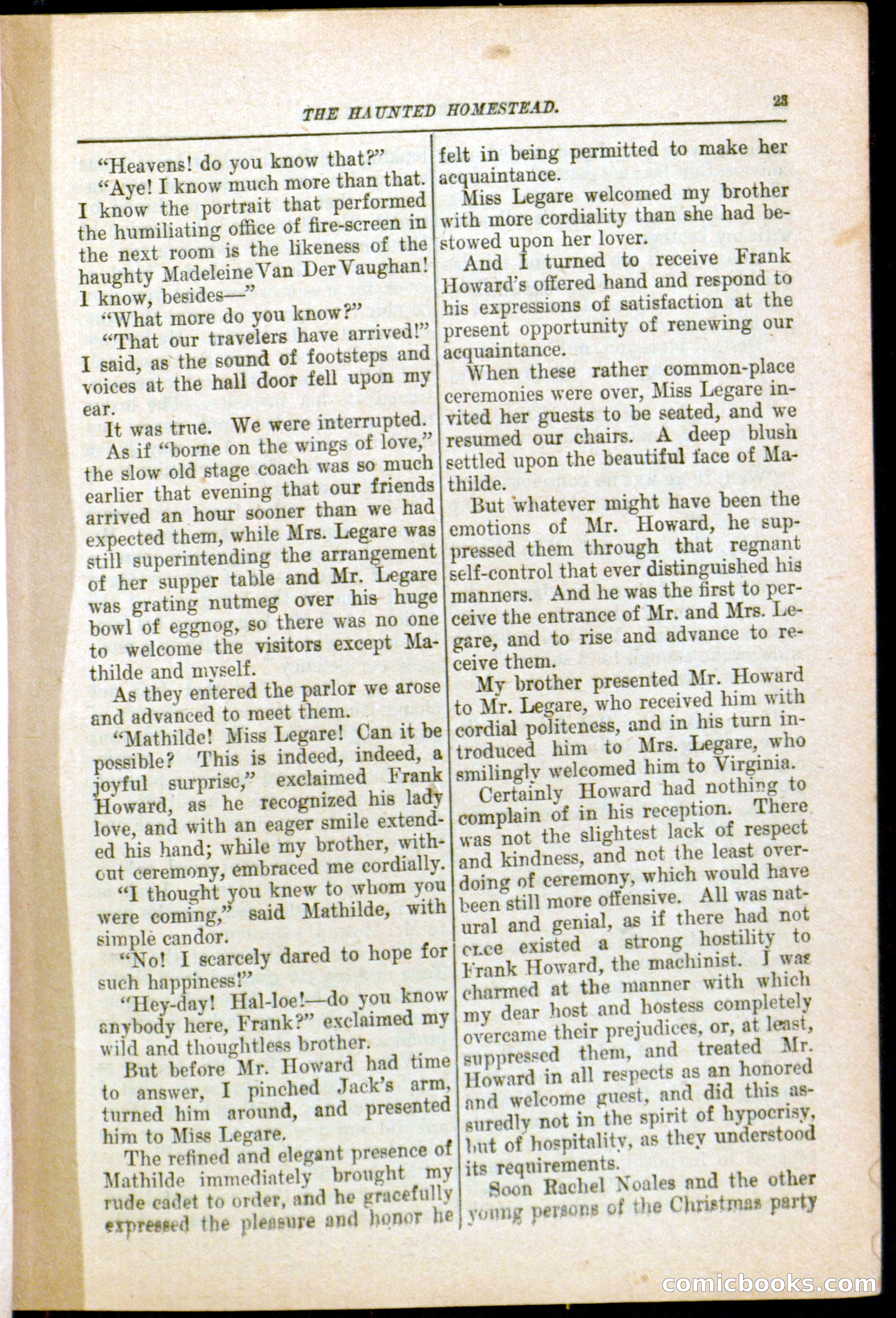 The Arm Chair Library No. 79: The Haunted Homestead — page 25 of 64