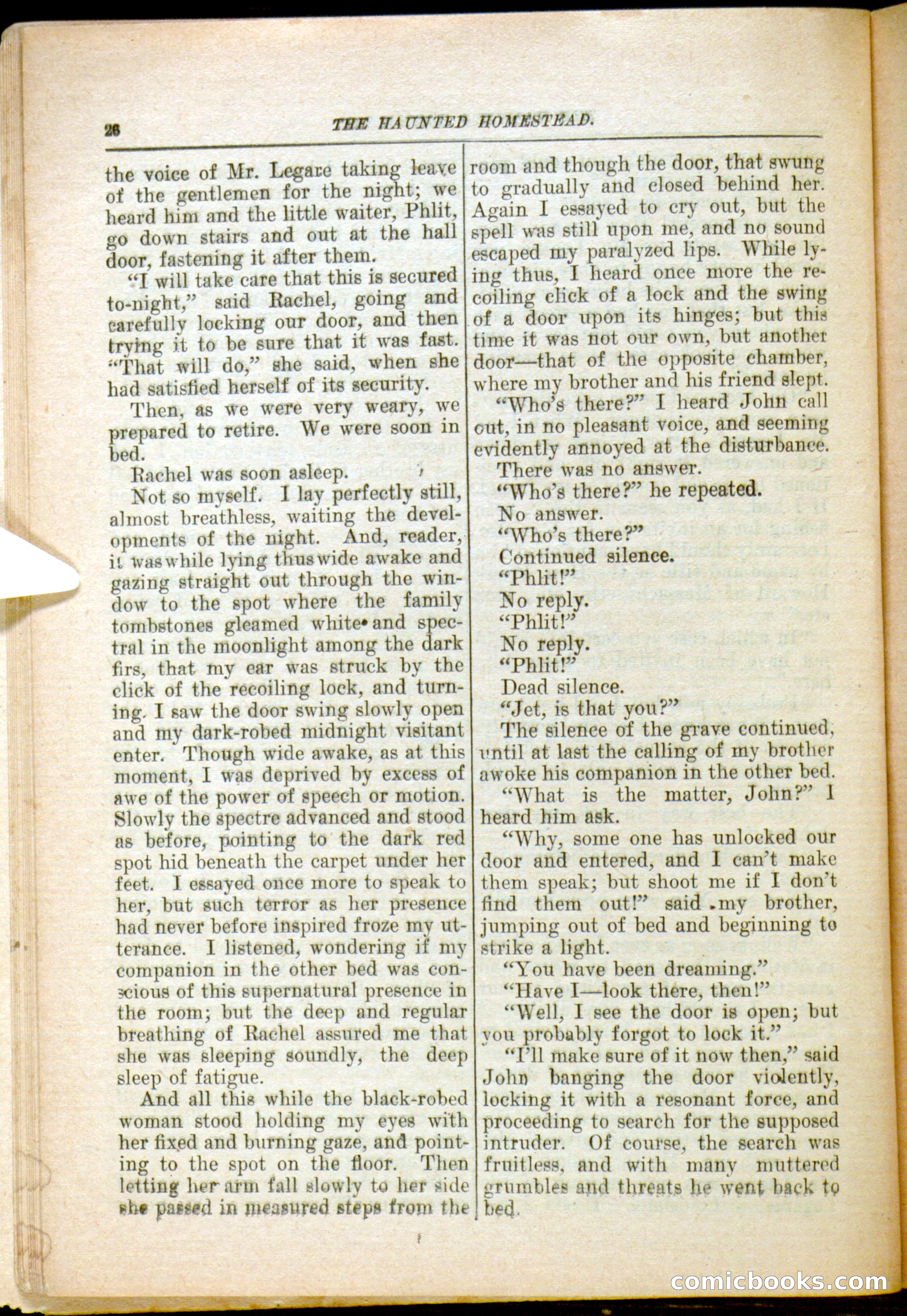 The Arm Chair Library No. 79: The Haunted Homestead — page 28 of 64