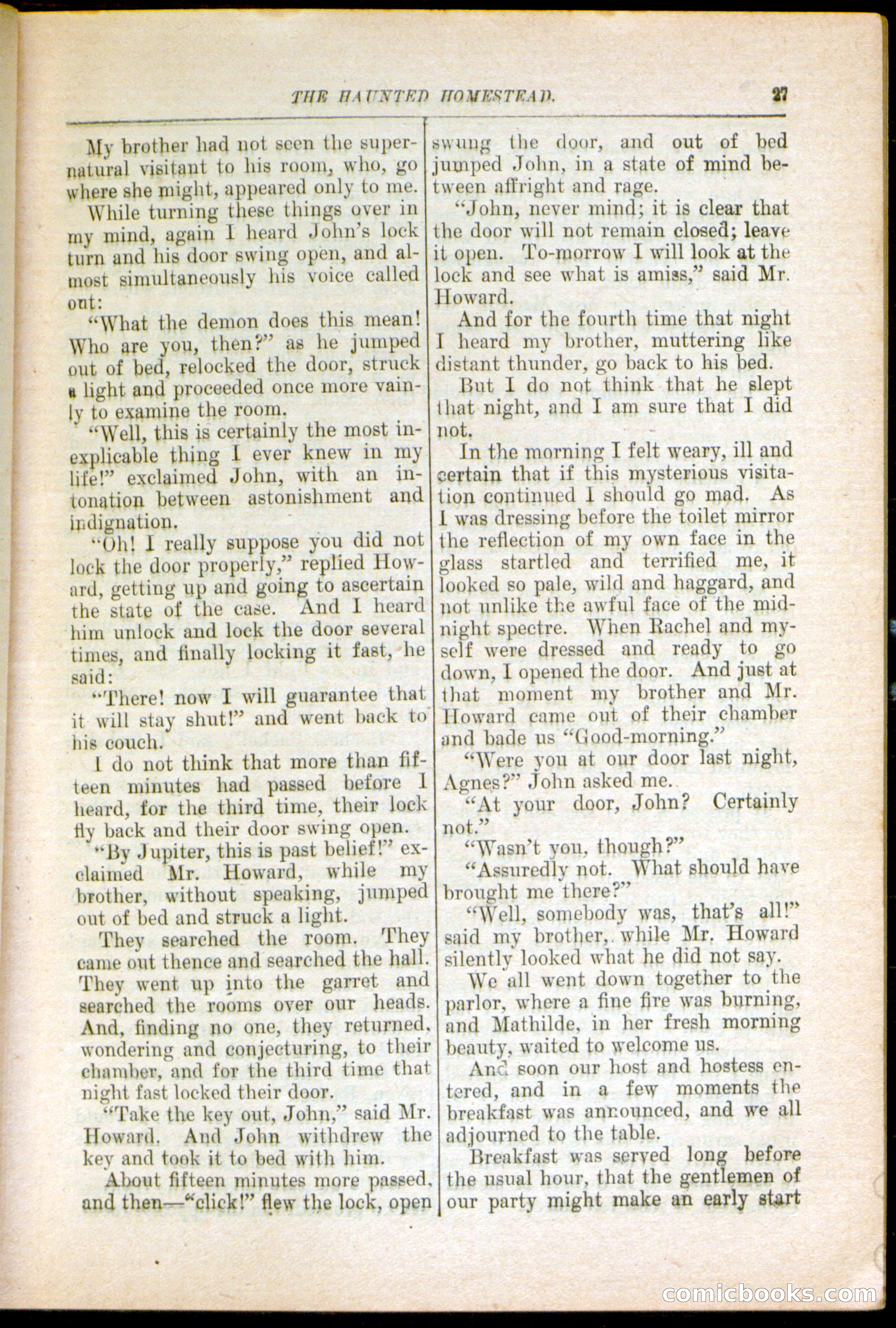 The Arm Chair Library No. 79: The Haunted Homestead — page 29 of 64