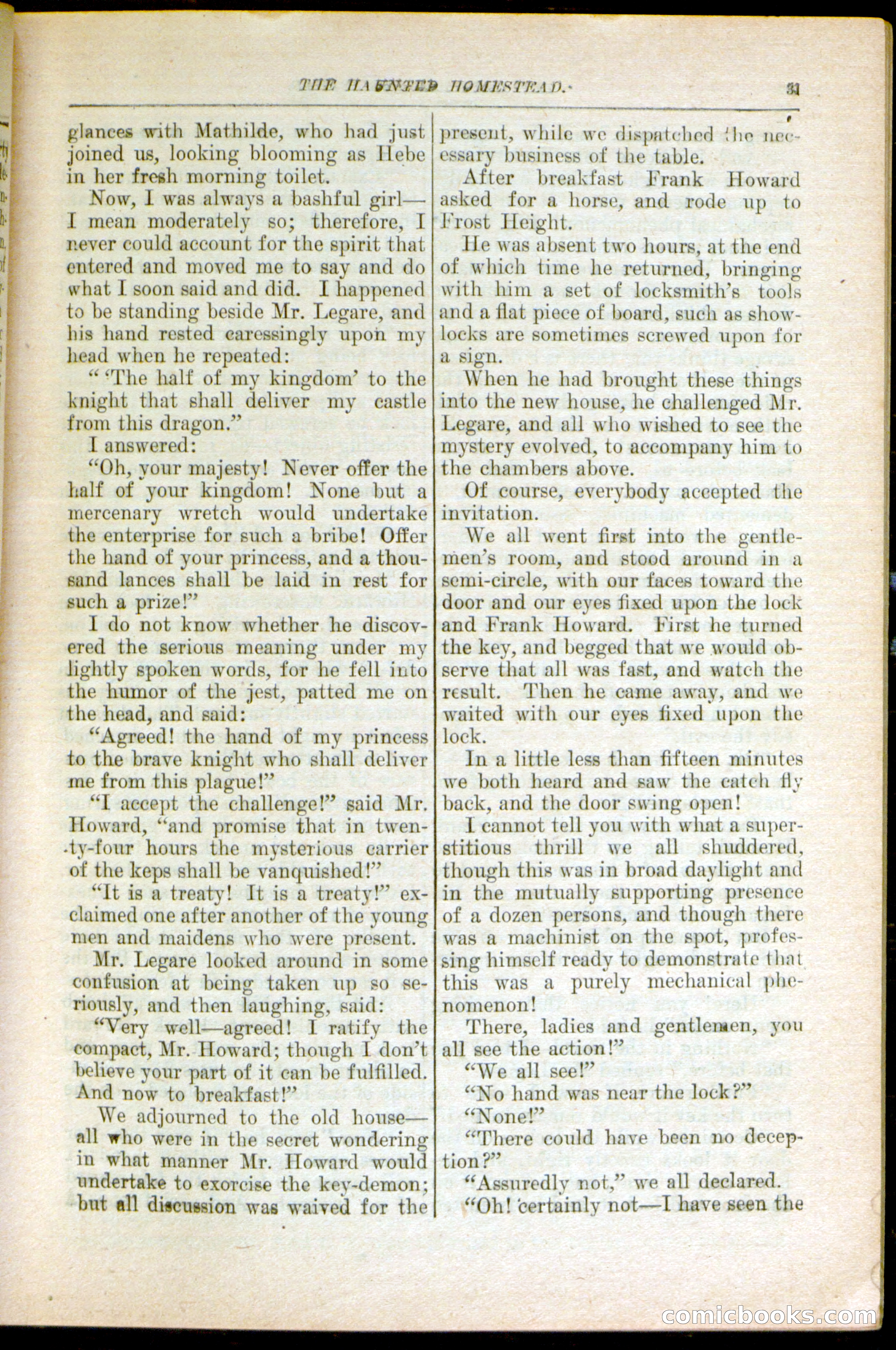 The Arm Chair Library No. 79: The Haunted Homestead — page 33 of 64