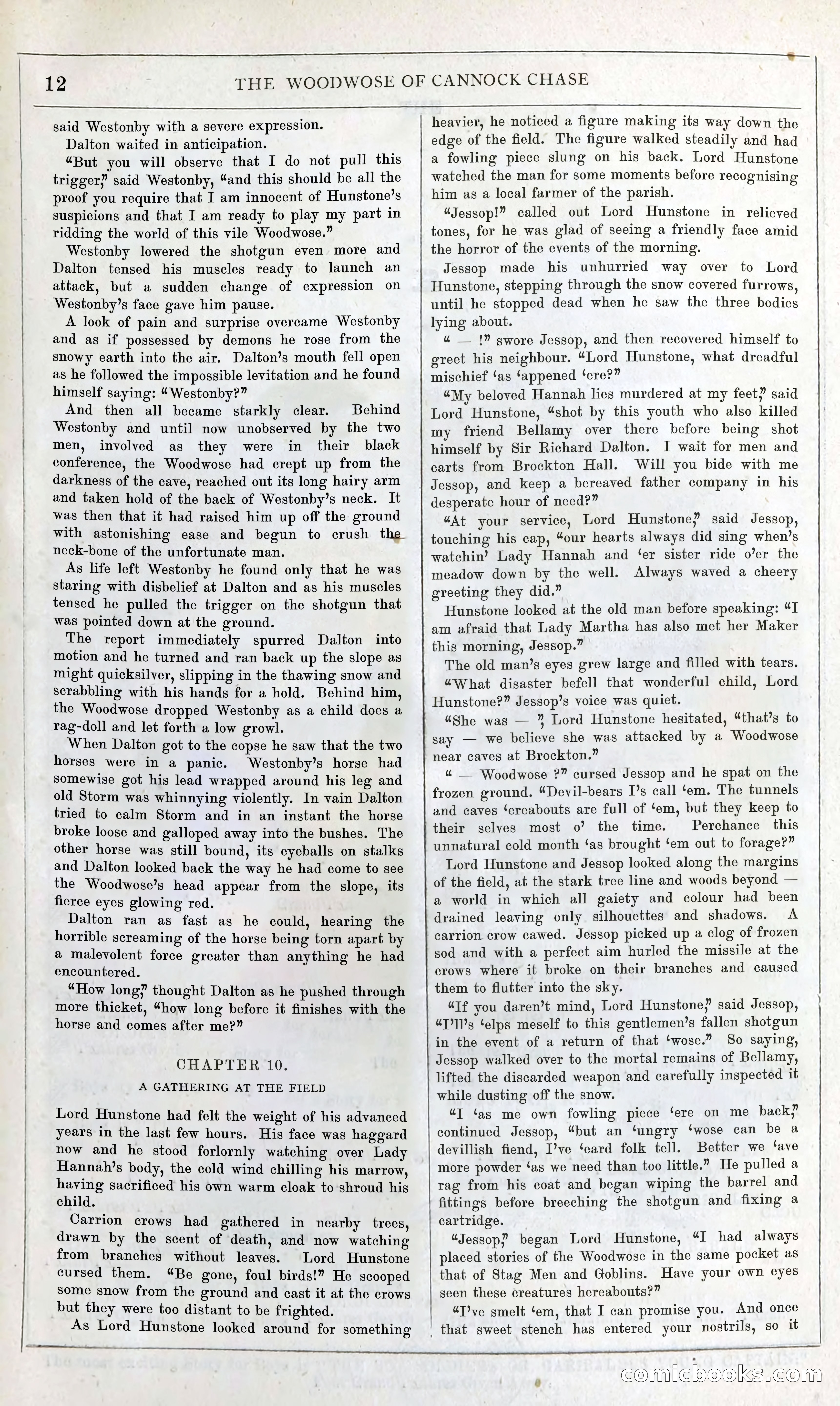 The Woodwose of Cannock Chase — page 18 of 24