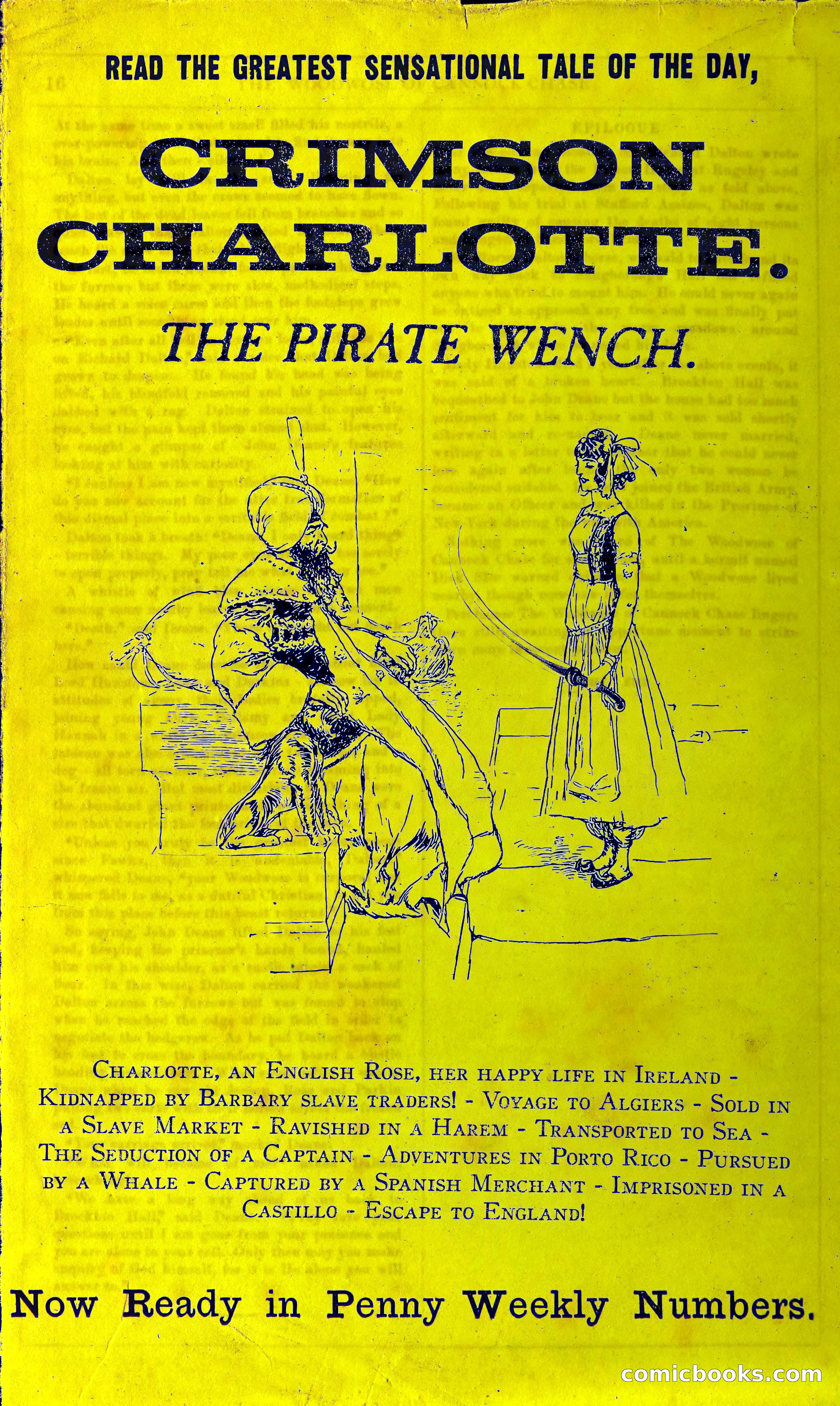 The Woodwose of Cannock Chase — page 24 of 24