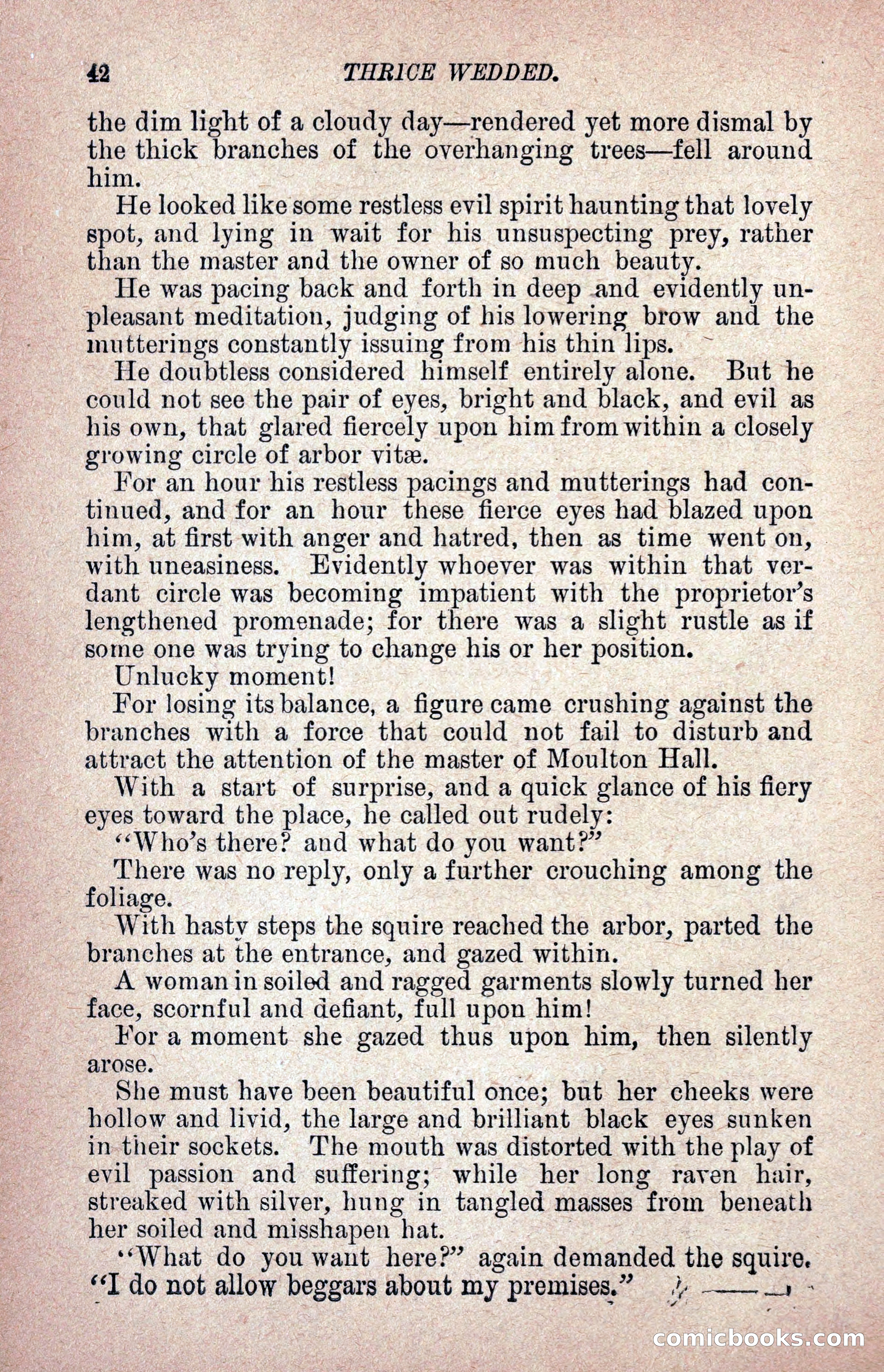 Thrice Wedded, but Only Once a Wife — page 51 of 242