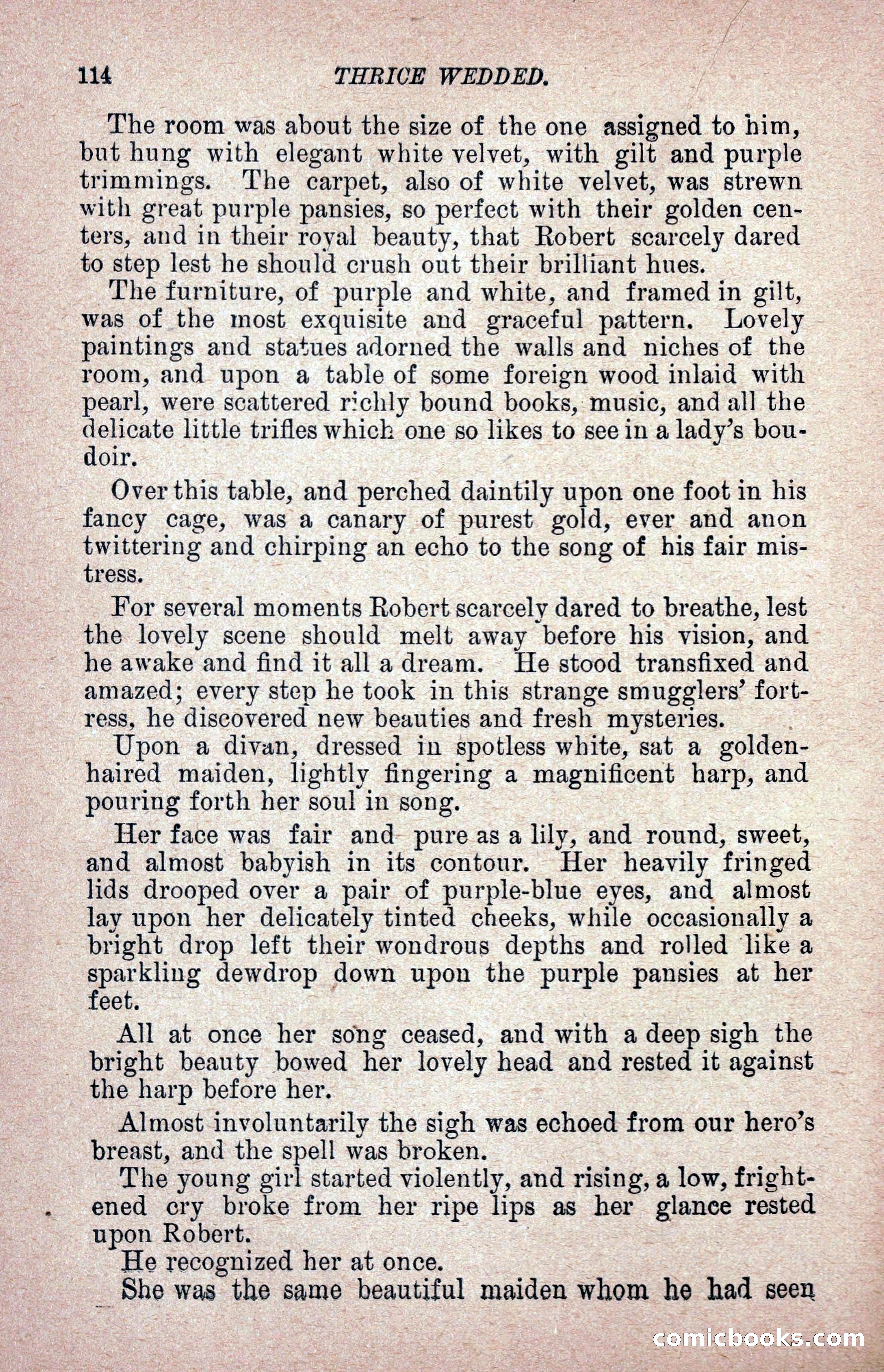 Thrice Wedded, but Only Once a Wife — page 123 of 242