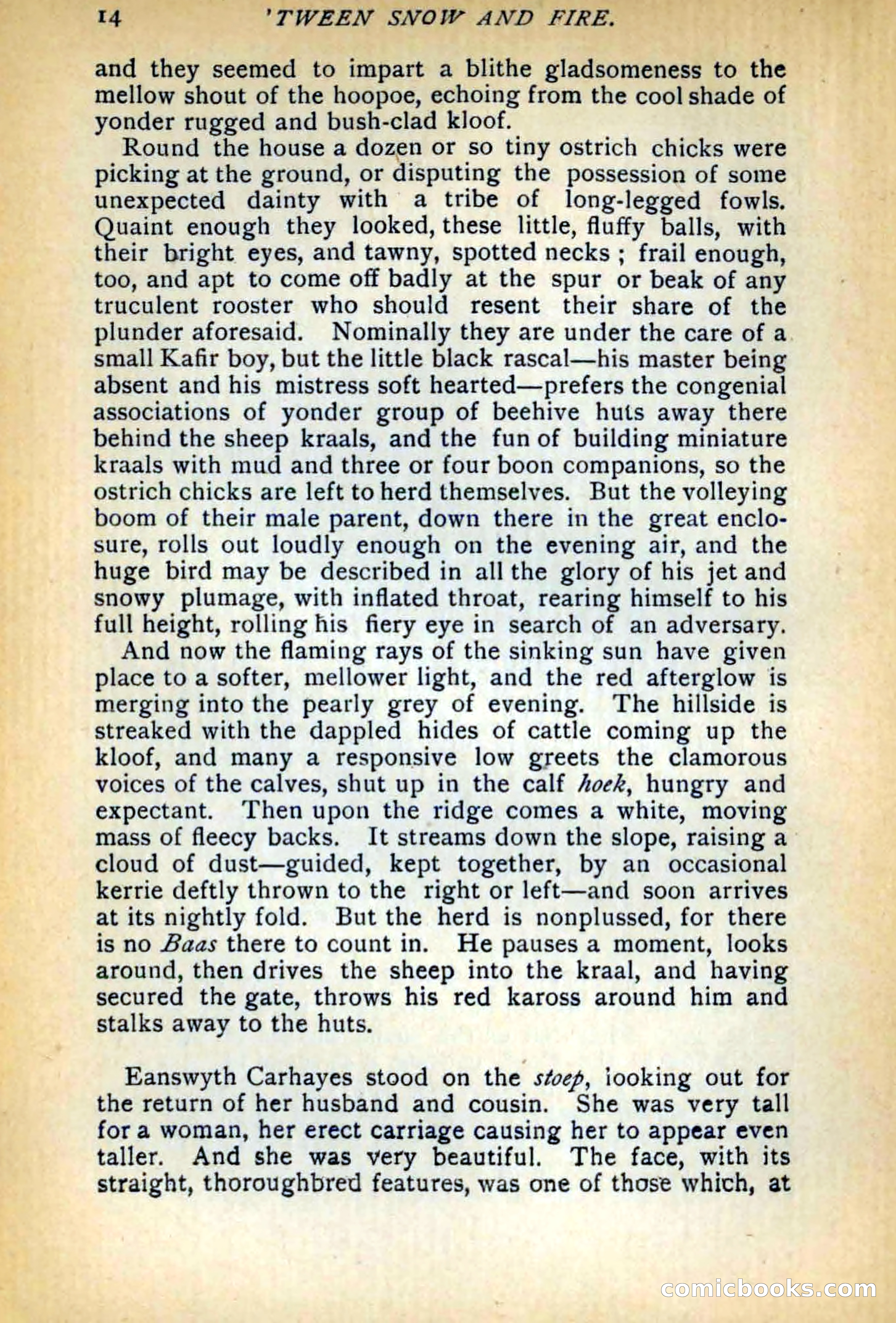 Between Snow and Fire — page 22 of 321