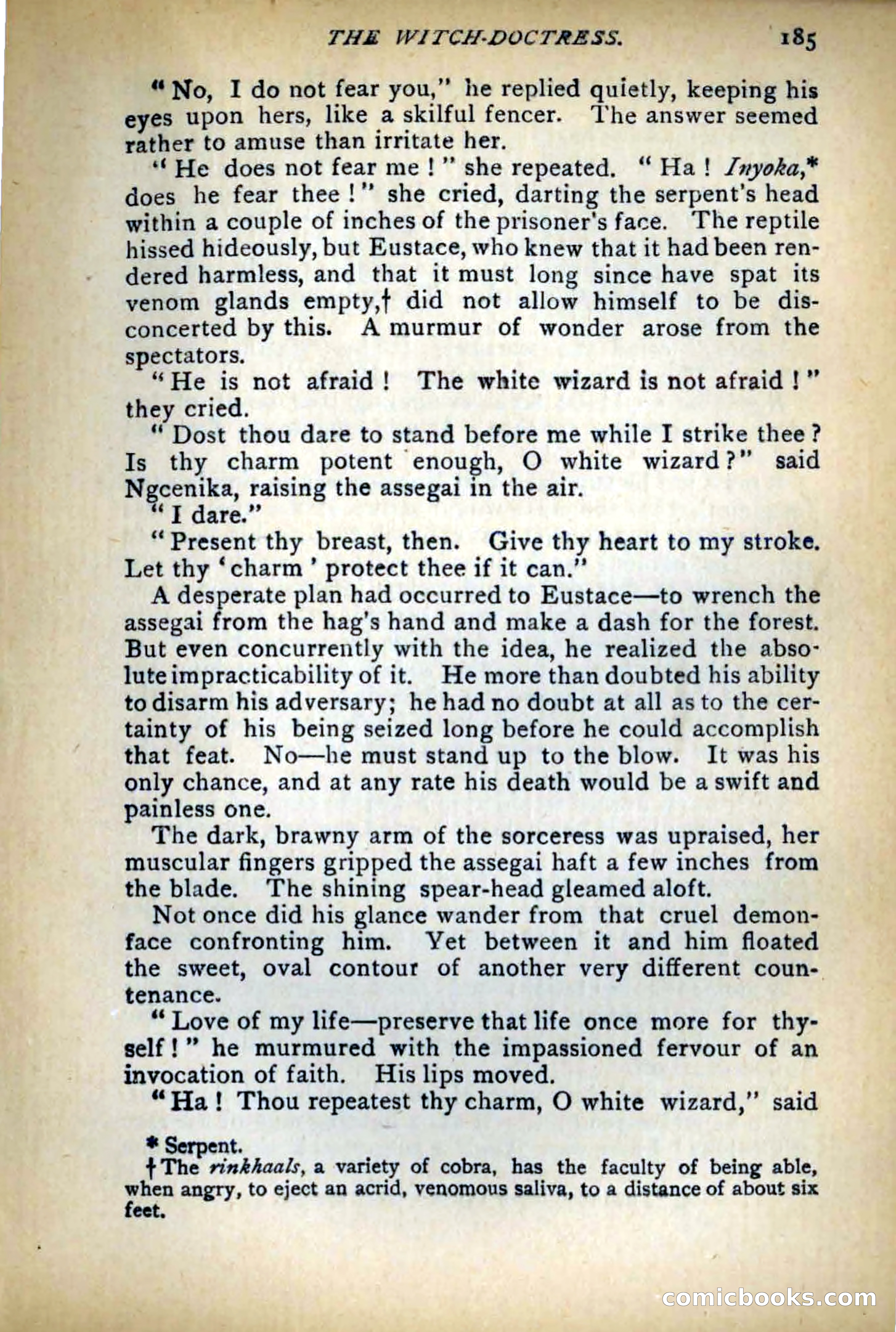 Between Snow and Fire — page 193 of 321