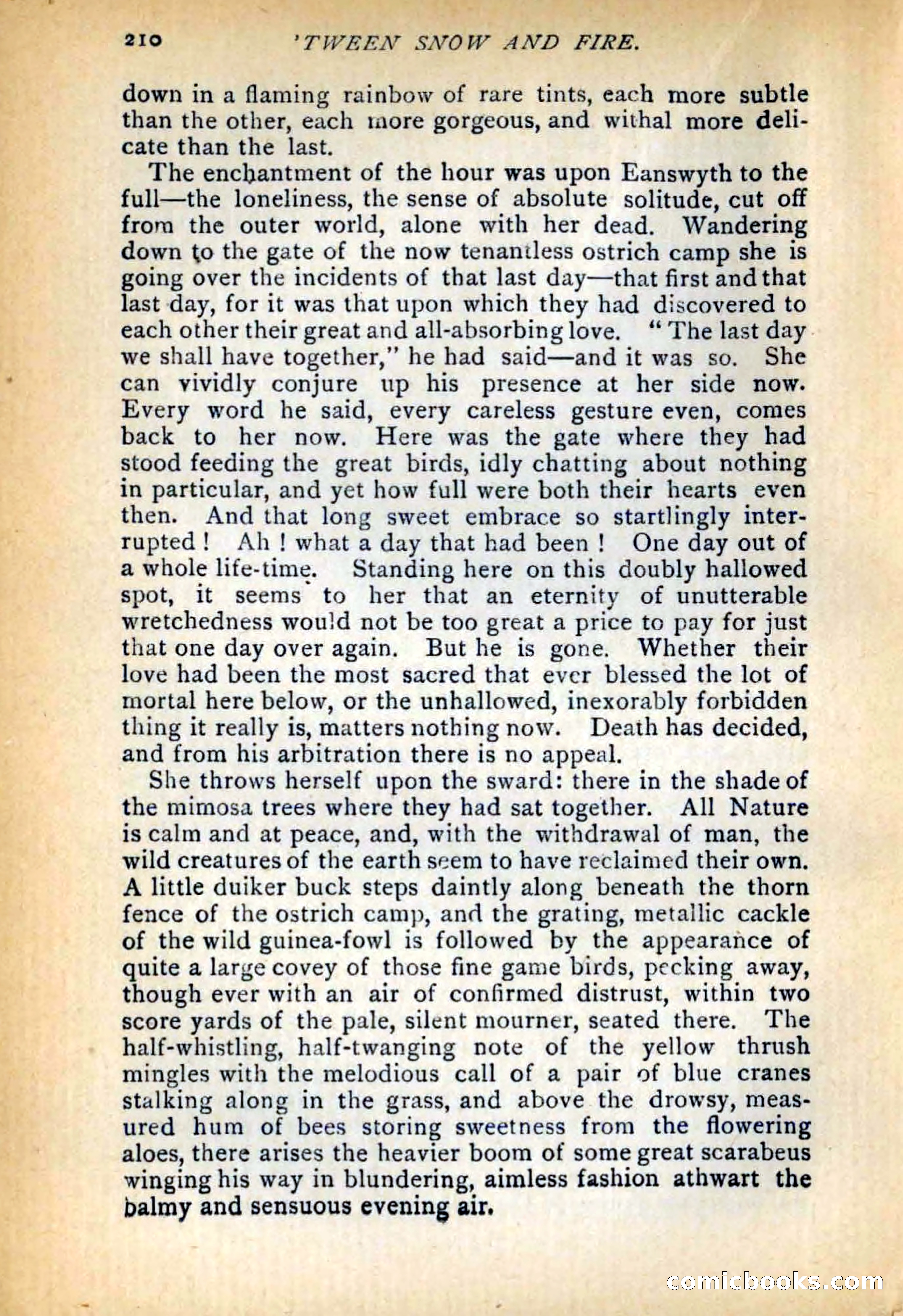 Between Snow and Fire — page 218 of 321