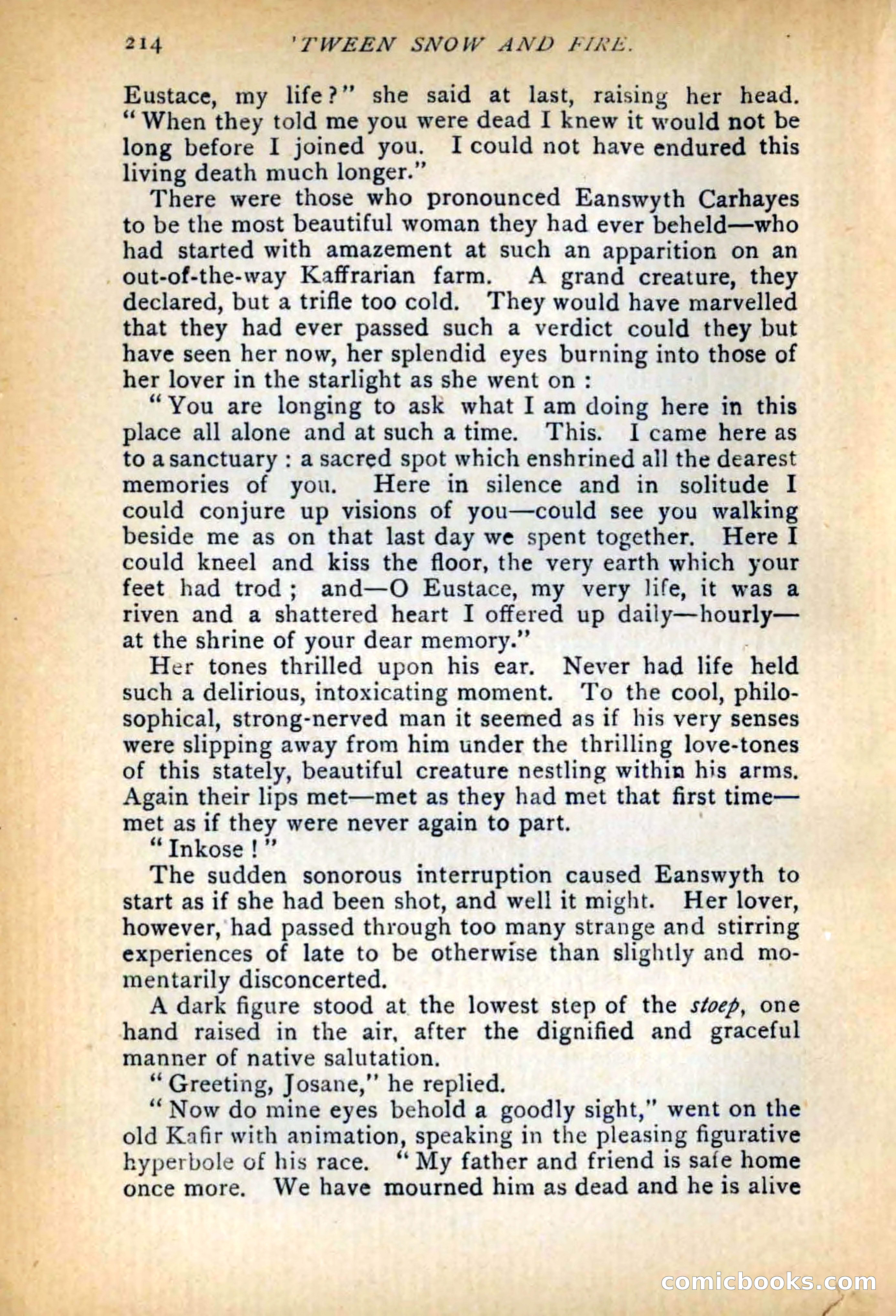 Between Snow and Fire — page 222 of 321