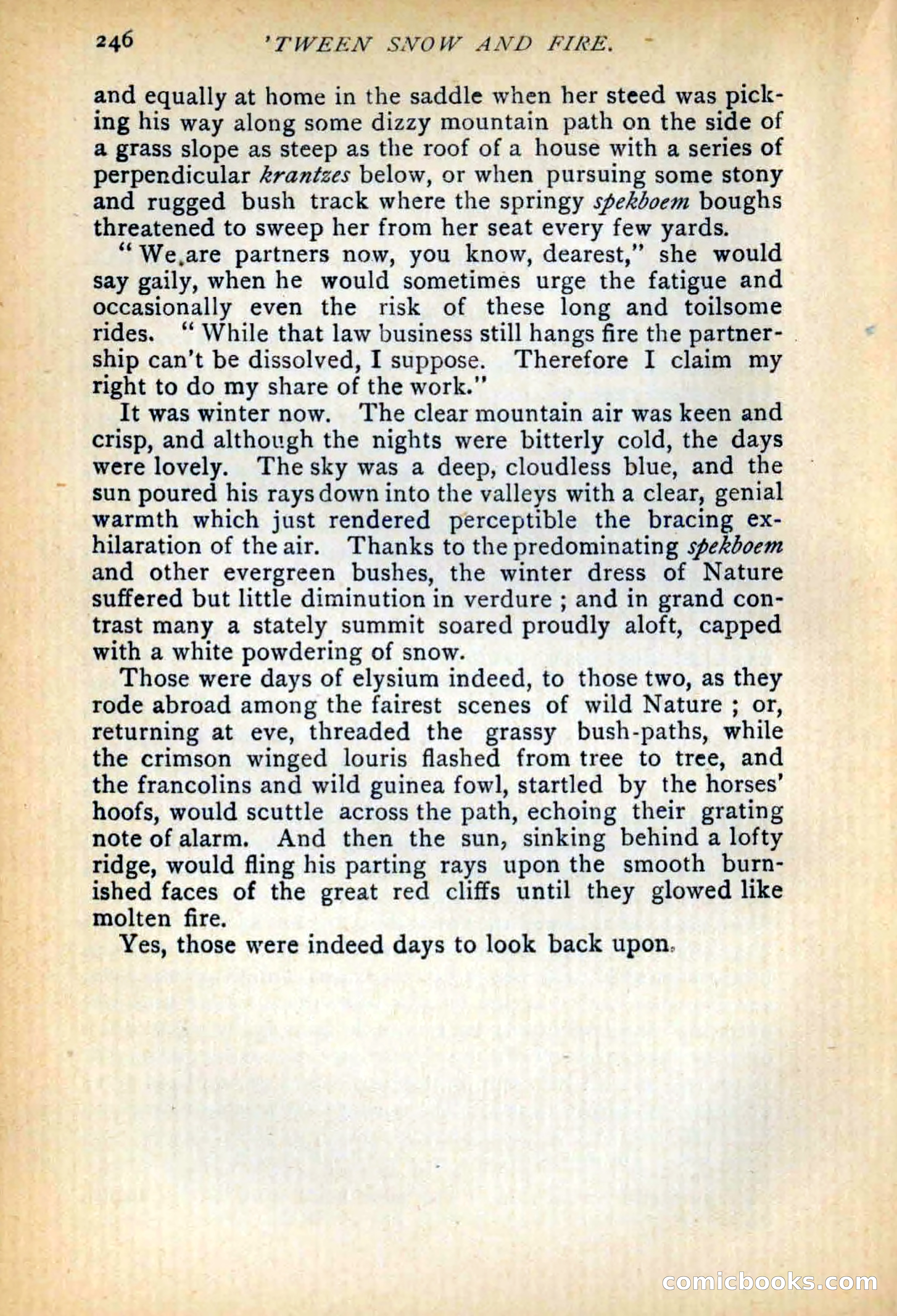 Between Snow and Fire — page 254 of 321