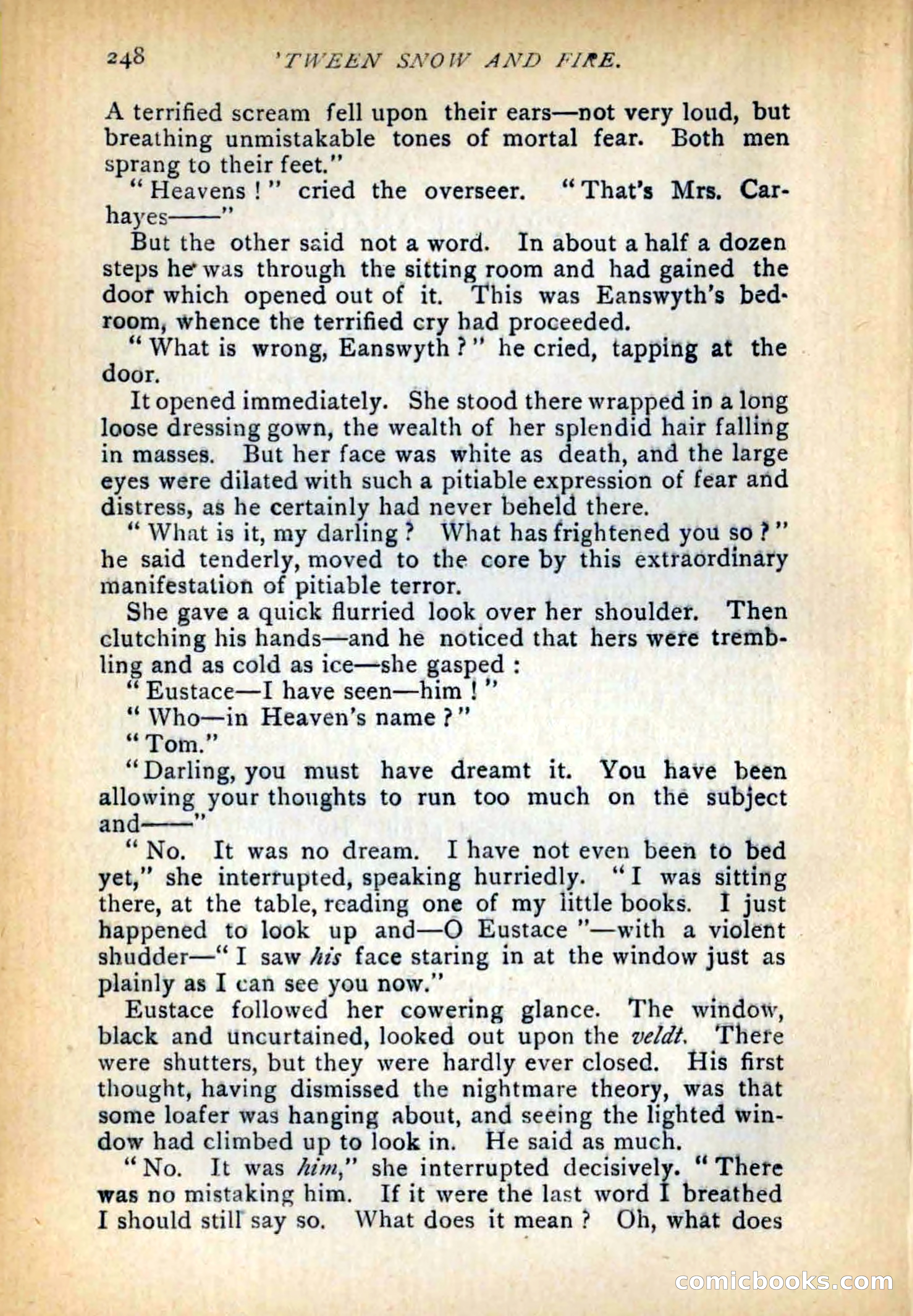 Between Snow and Fire — page 256 of 321