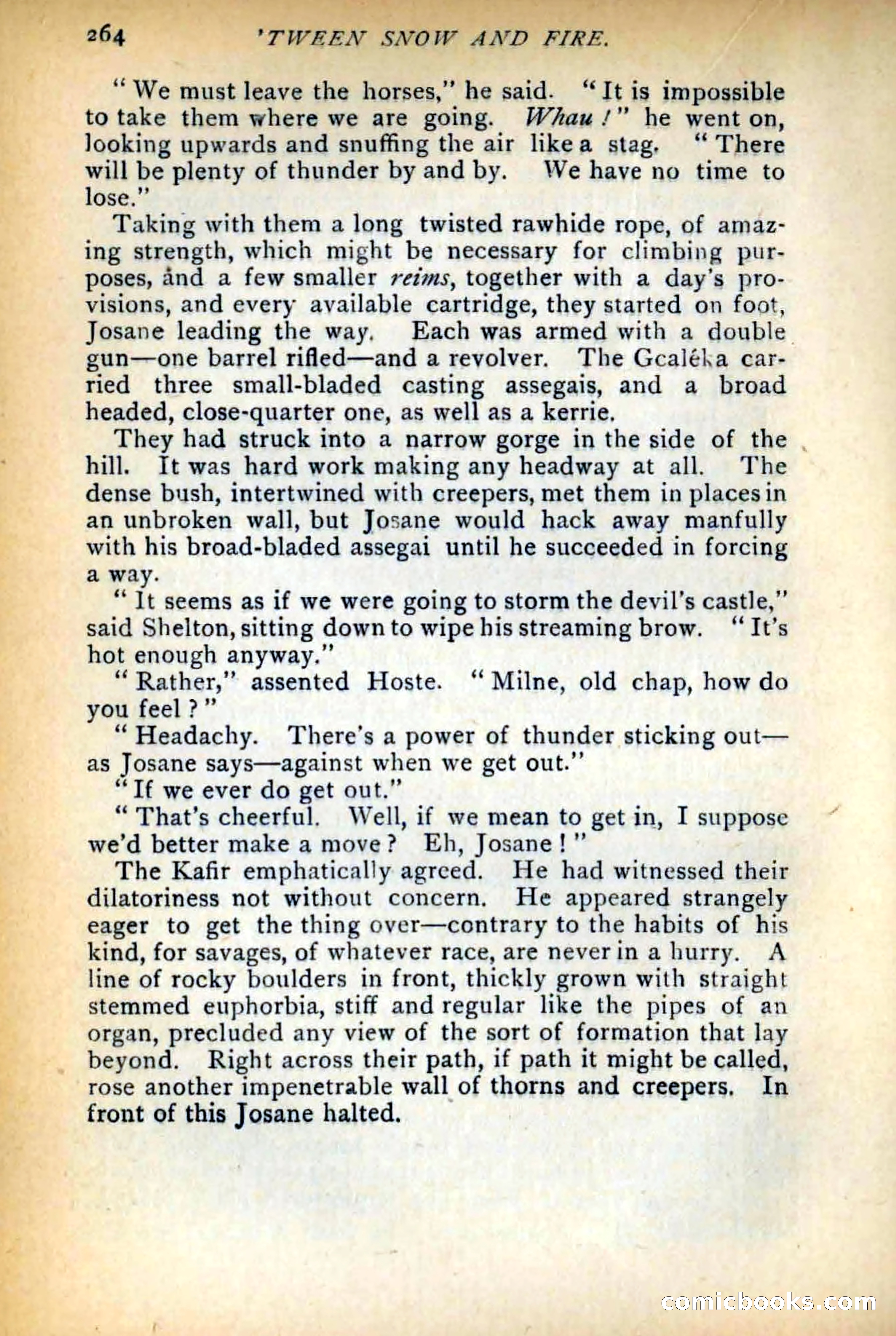 Between Snow and Fire — page 272 of 321