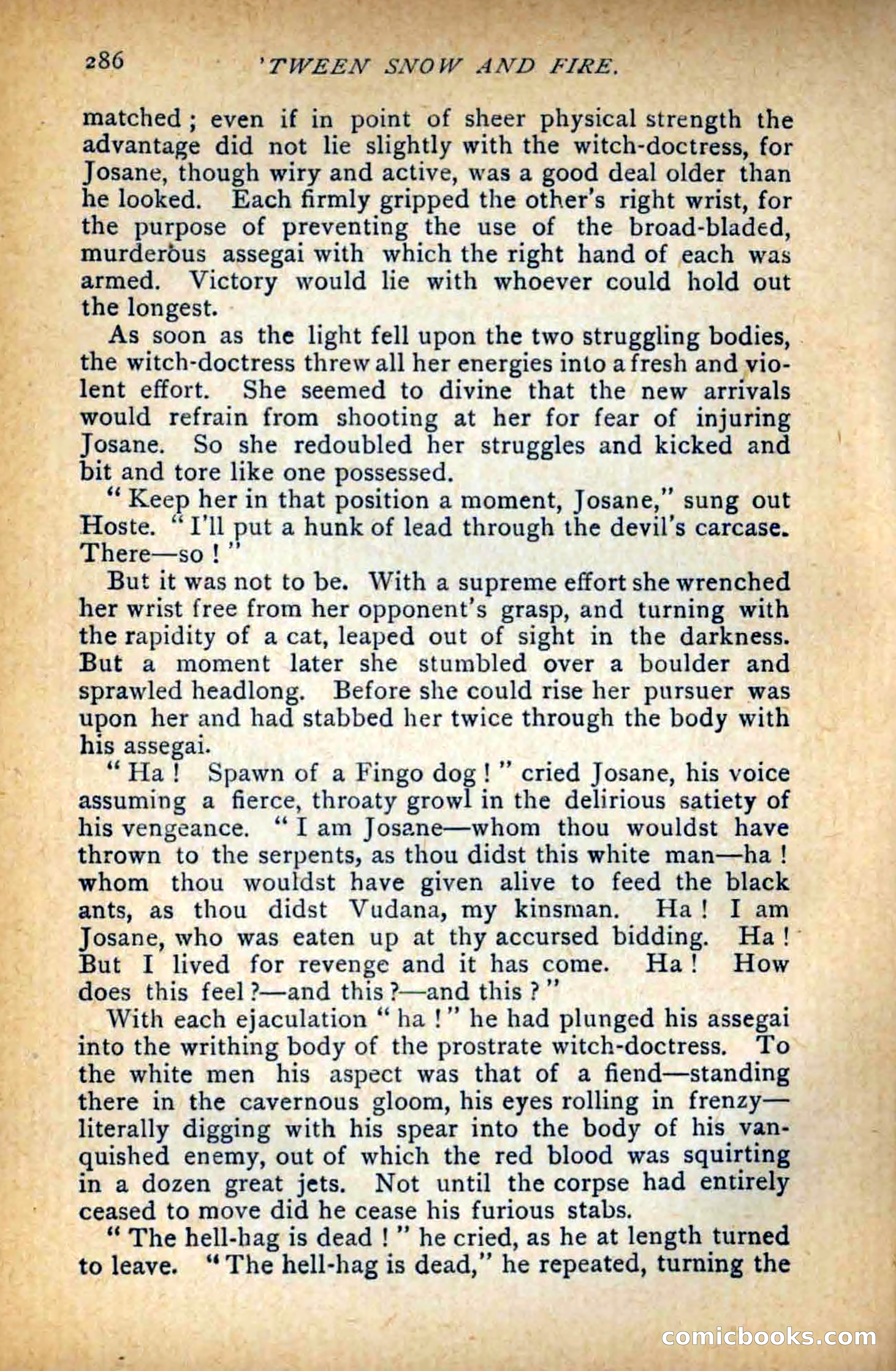 Between Snow and Fire — page 294 of 321