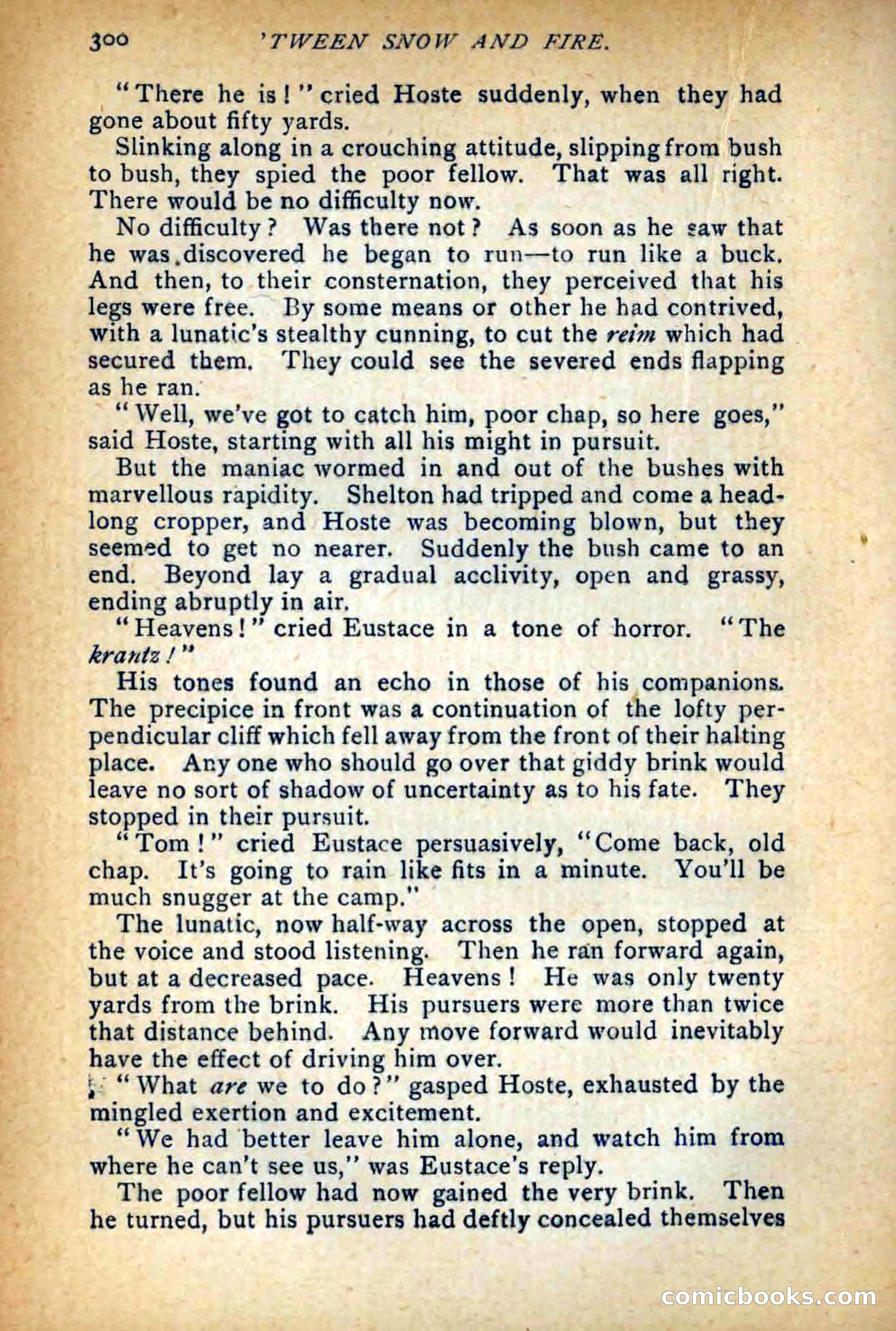 Between Snow and Fire — page 308 of 321