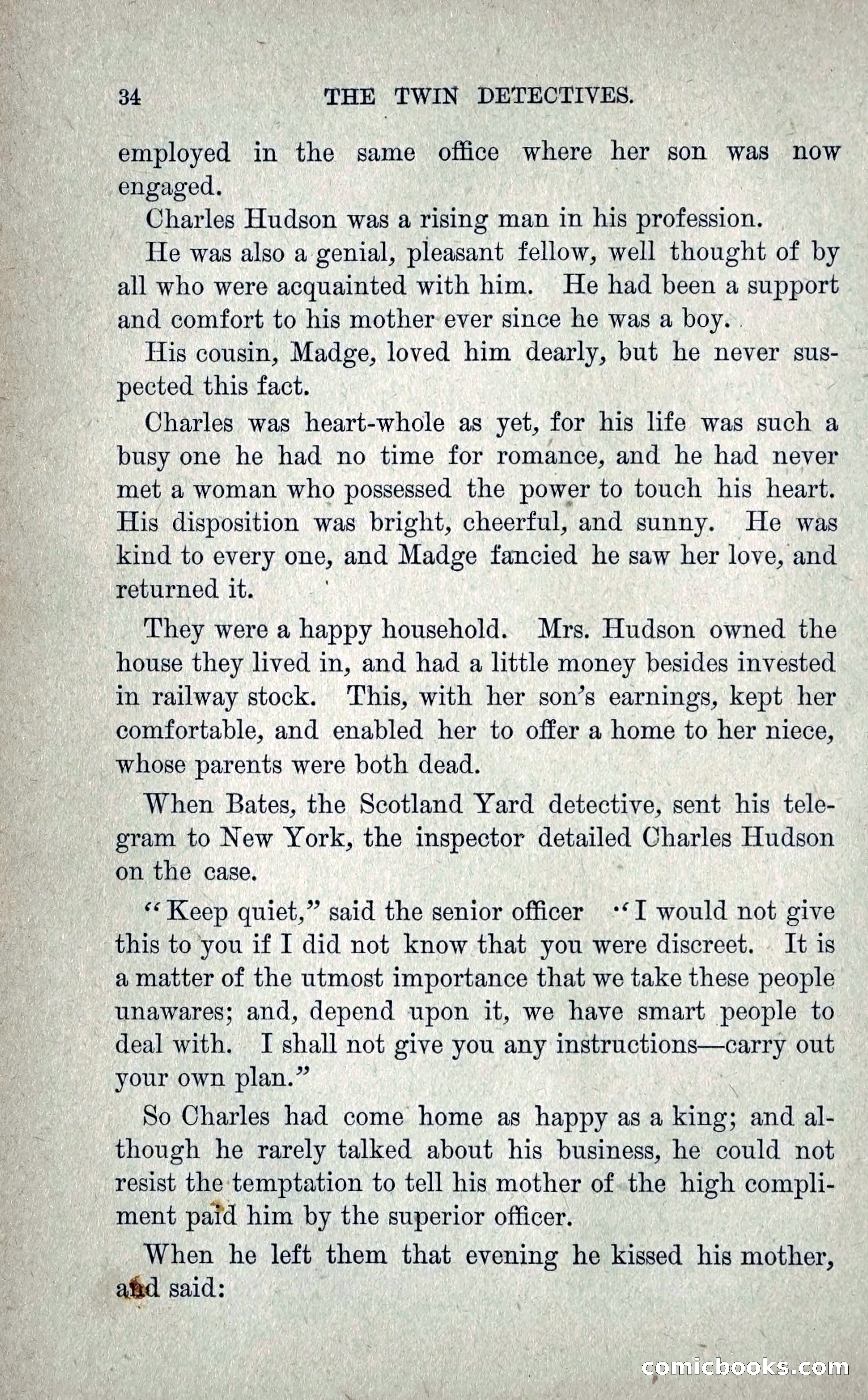 The Twin Detectives; or, The Robbers of the Tomb — page 43 of 235