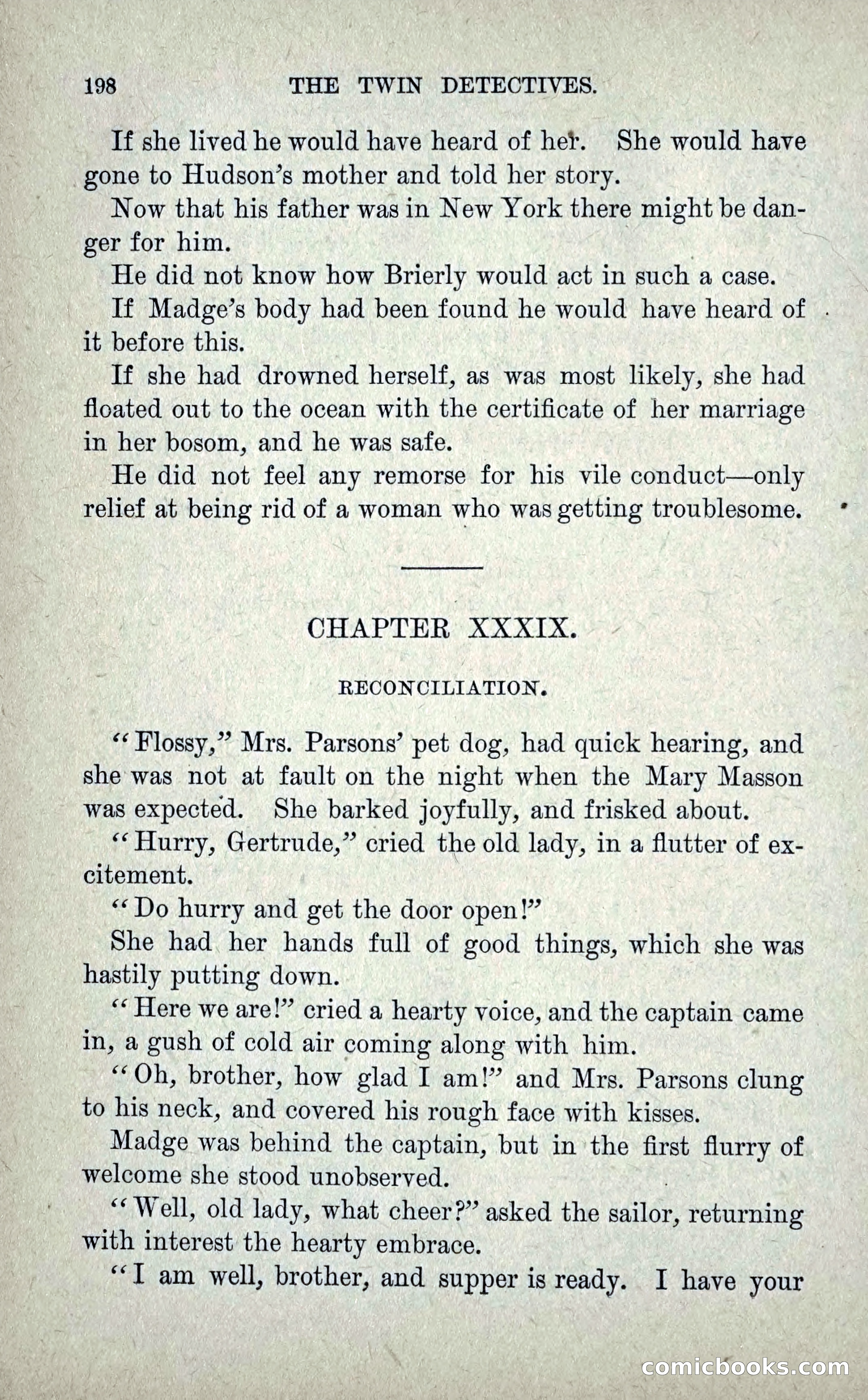 The Twin Detectives; or, The Robbers of the Tomb — page 207 of 235
