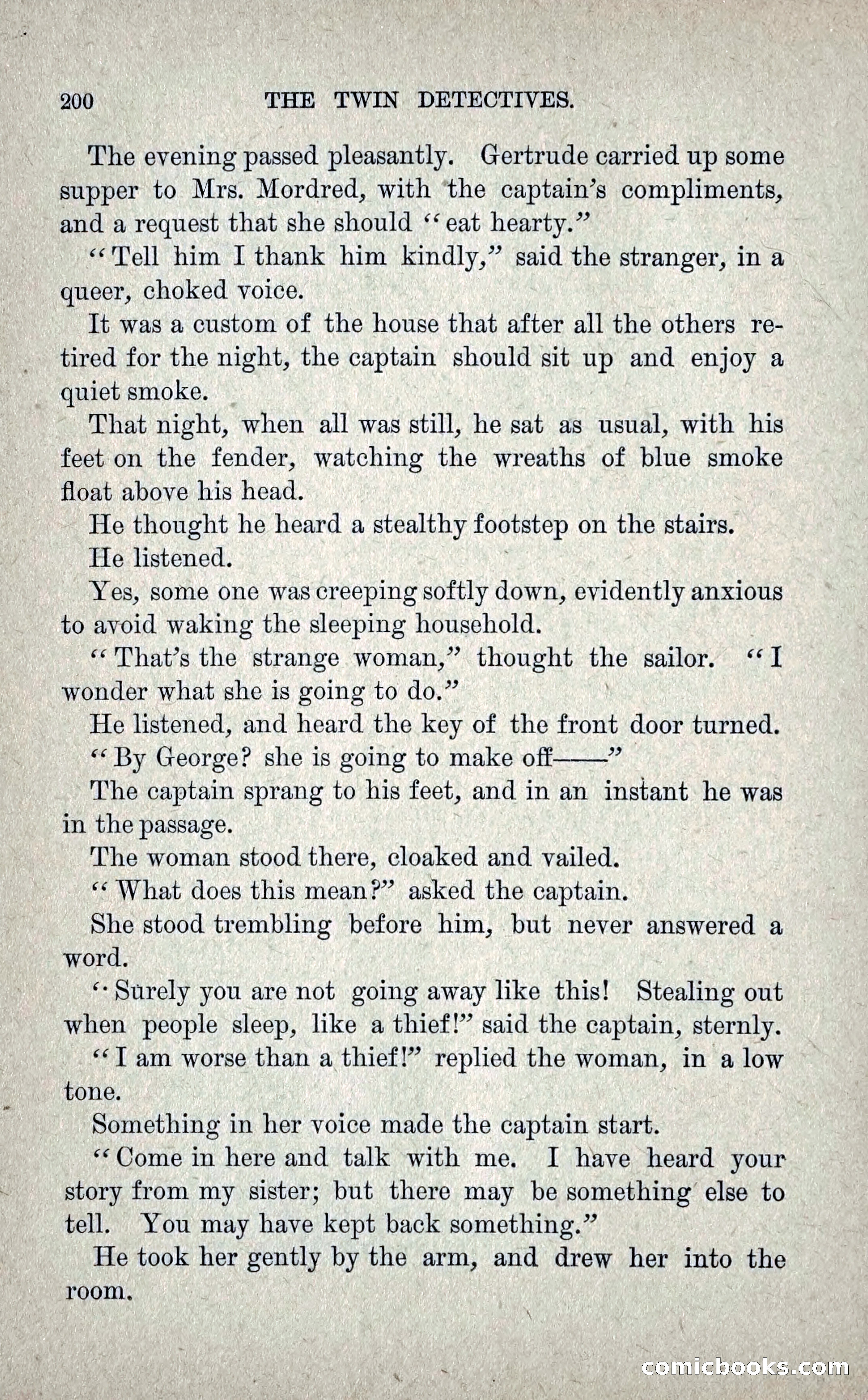 The Twin Detectives; or, The Robbers of the Tomb — page 209 of 235