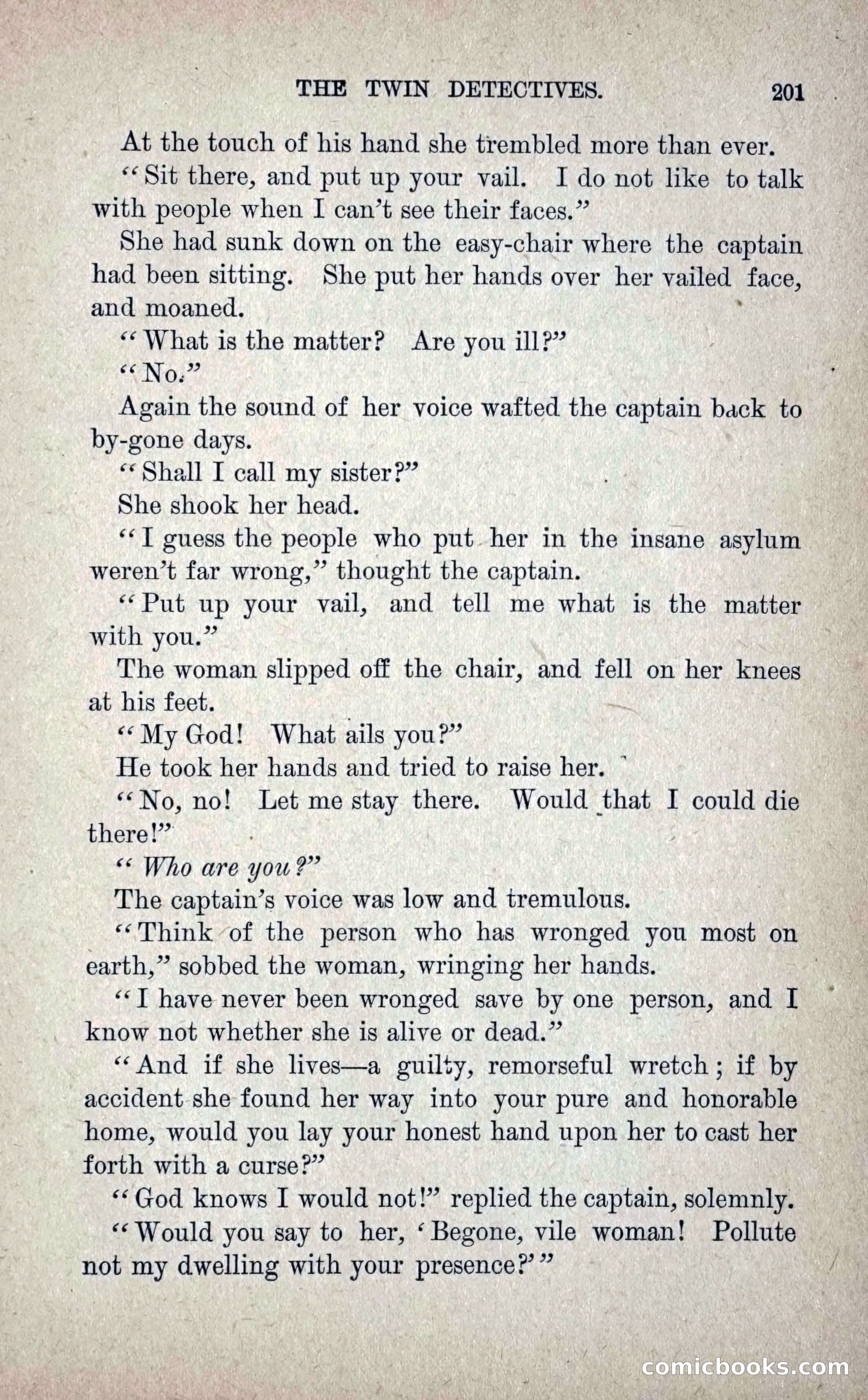The Twin Detectives; or, The Robbers of the Tomb — page 210 of 235